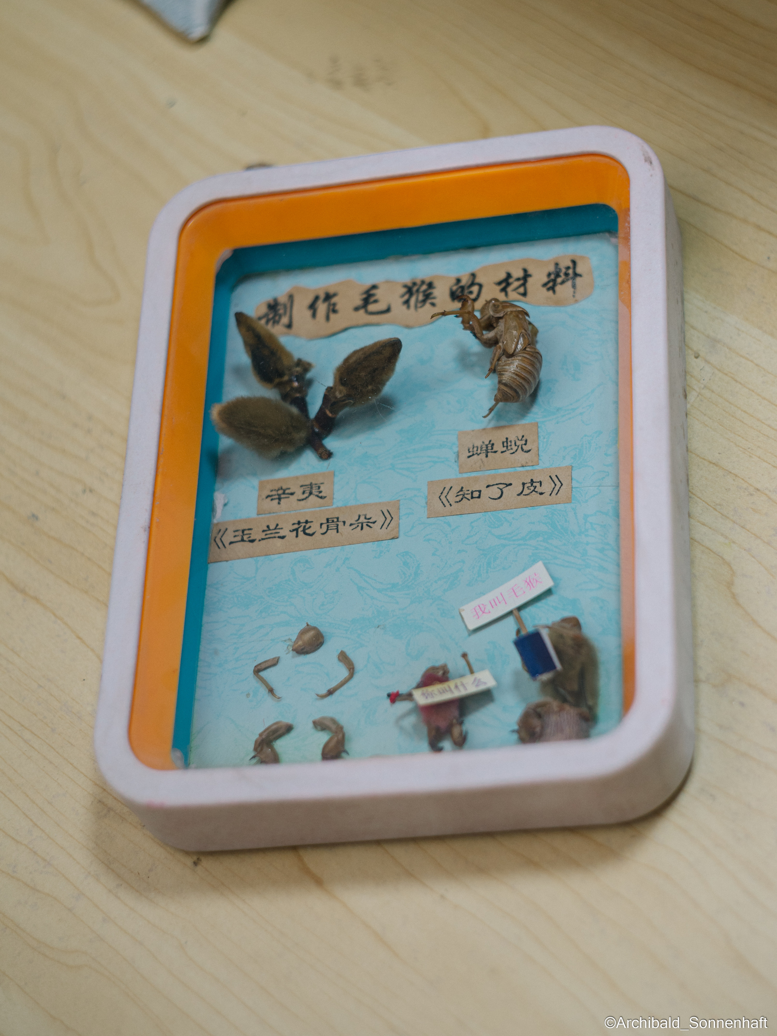 Tianjin specialty “hairy monkey”. Photographer in Guangzhou, China. Archibald Sonnenhaft