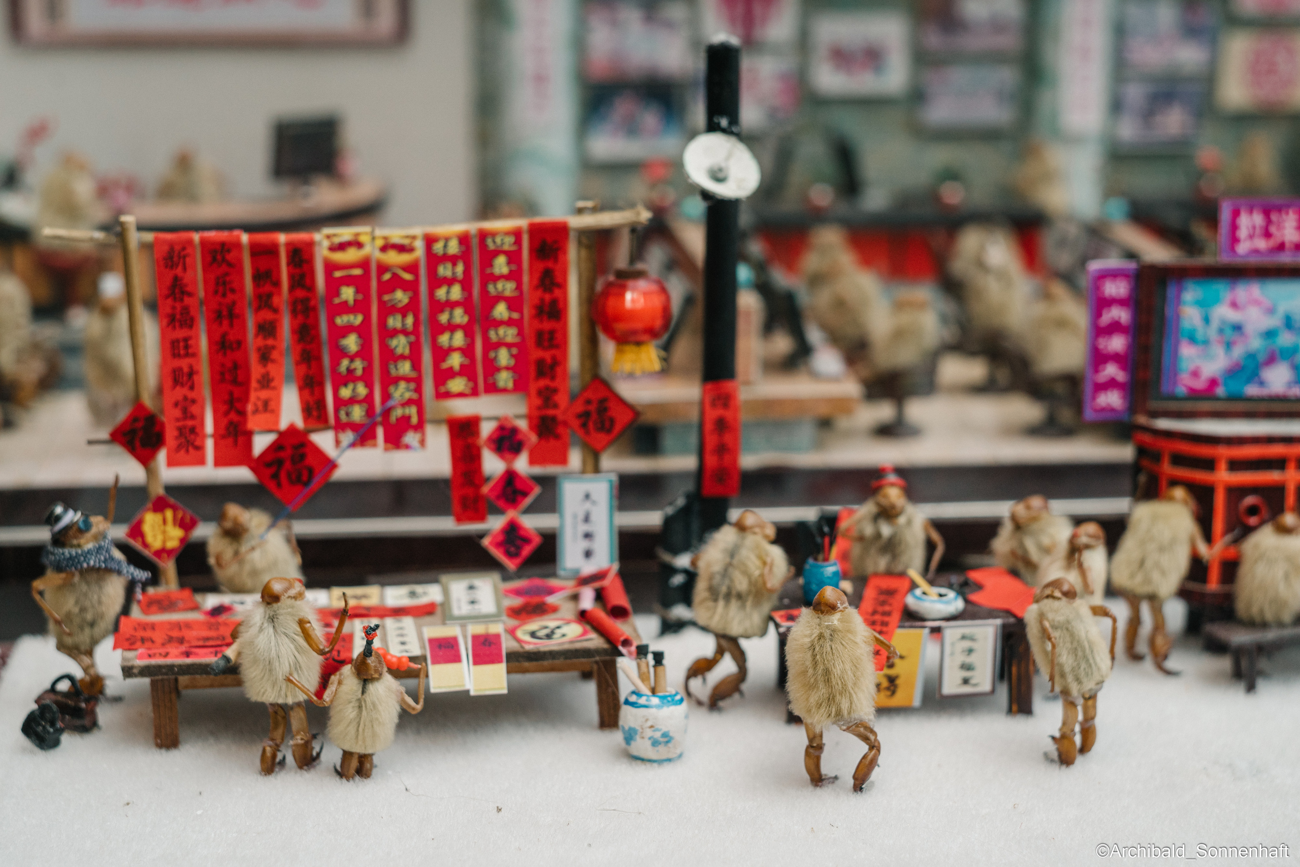 Tianjin specialty “hairy monkey”. Photographer in Guangzhou, China. Archibald Sonnenhaft