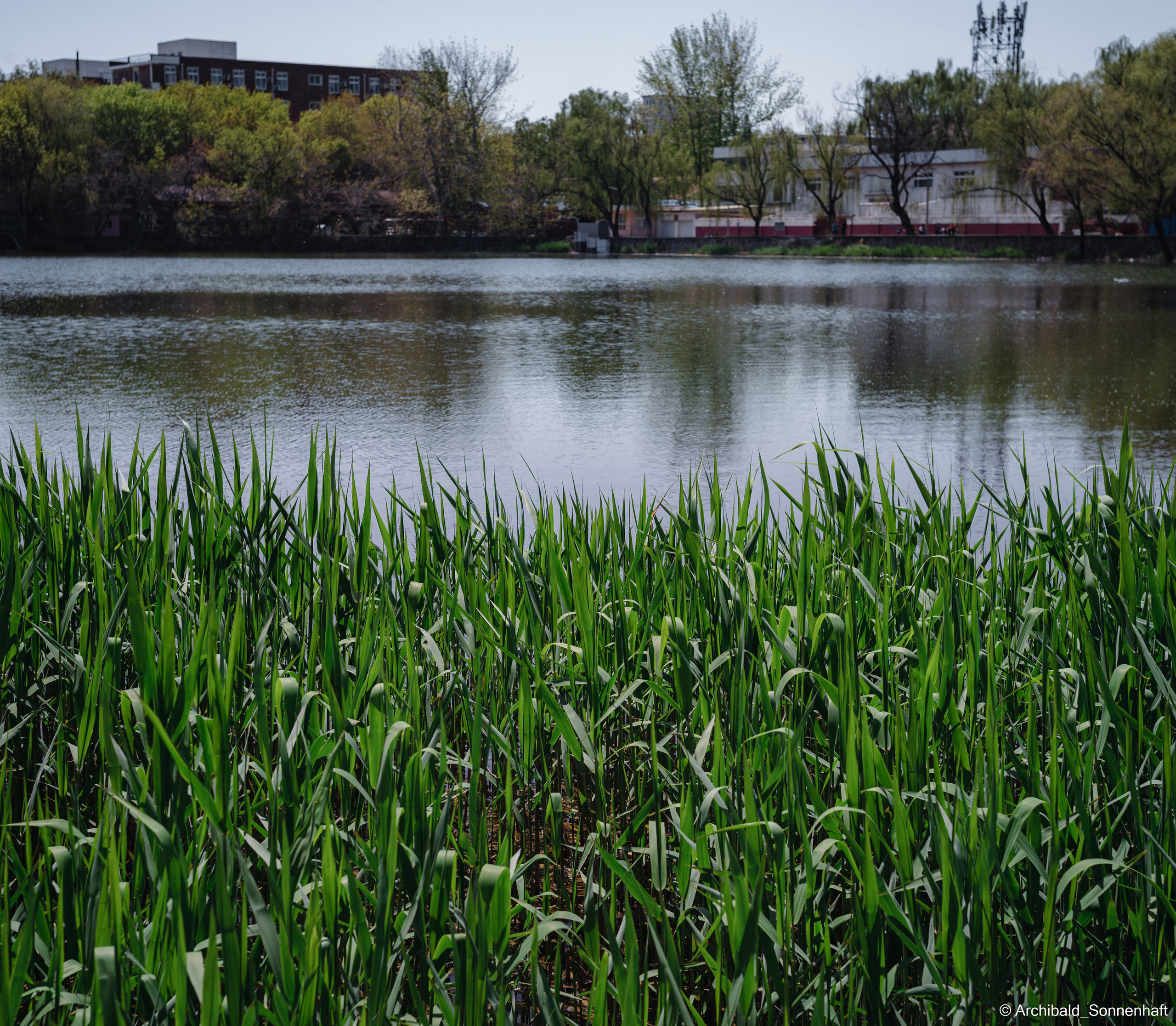 An unexpected walk around the university with my wife and argentine st. Photographer in Guangzhou, China. Archibald Sonnenhaft