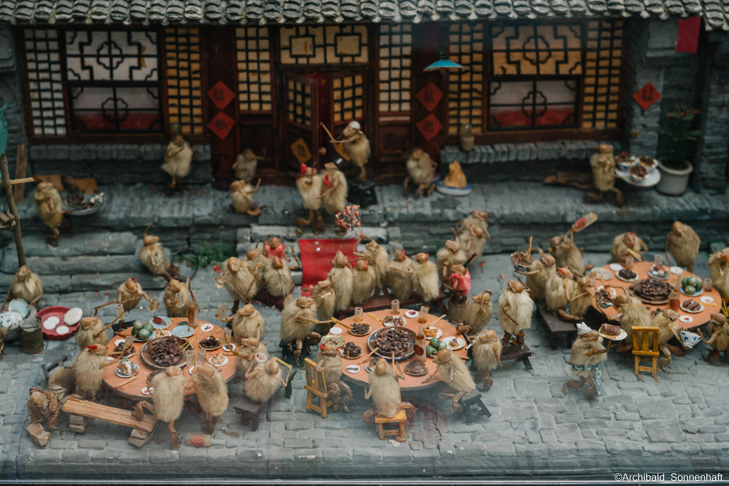 Tianjin specialty “hairy monkey”. Photographer in Guangzhou, China. Archibald Sonnenhaft