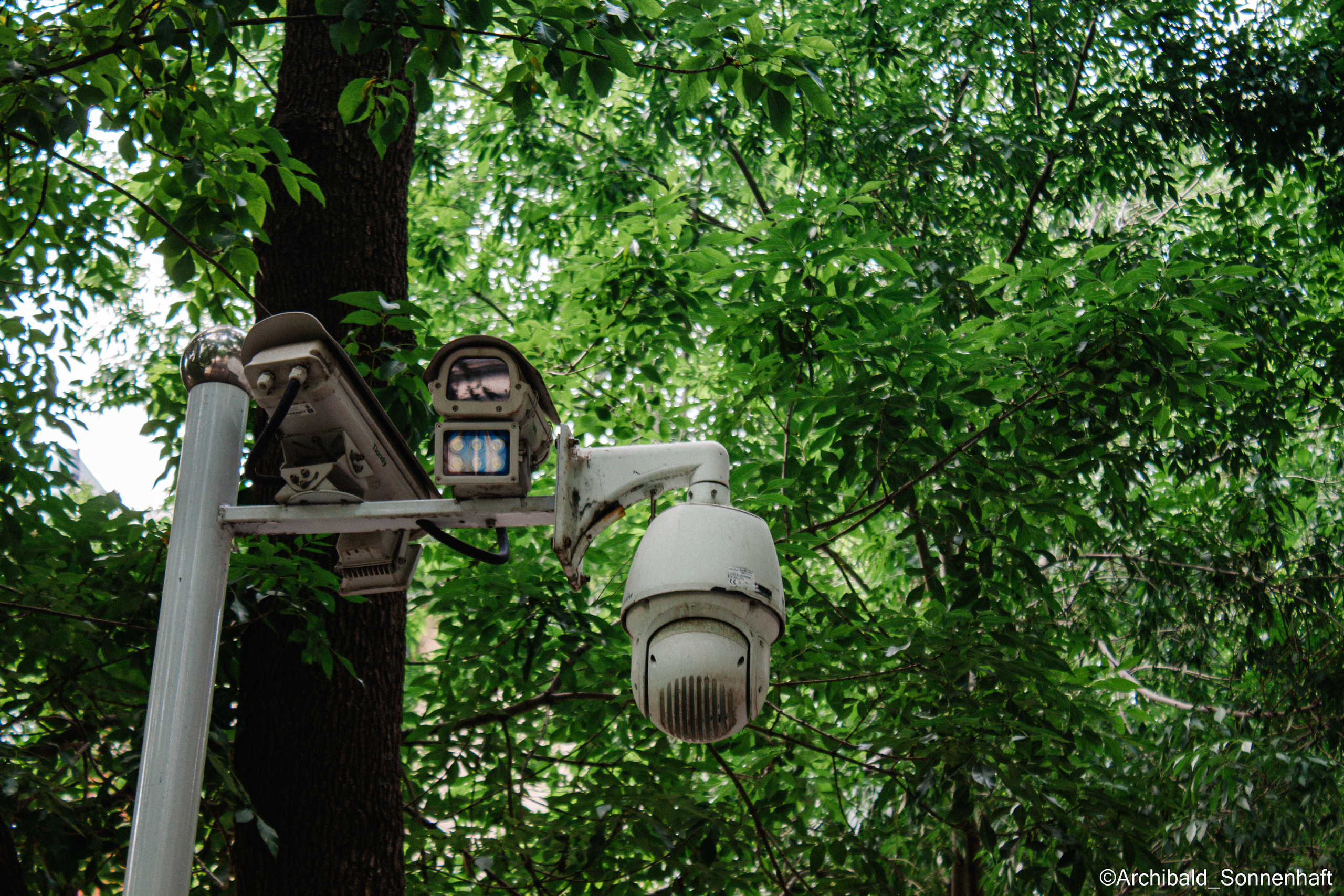 Tennis morning. Photographer in Guangzhou, China. Archibald Sonnenhaft