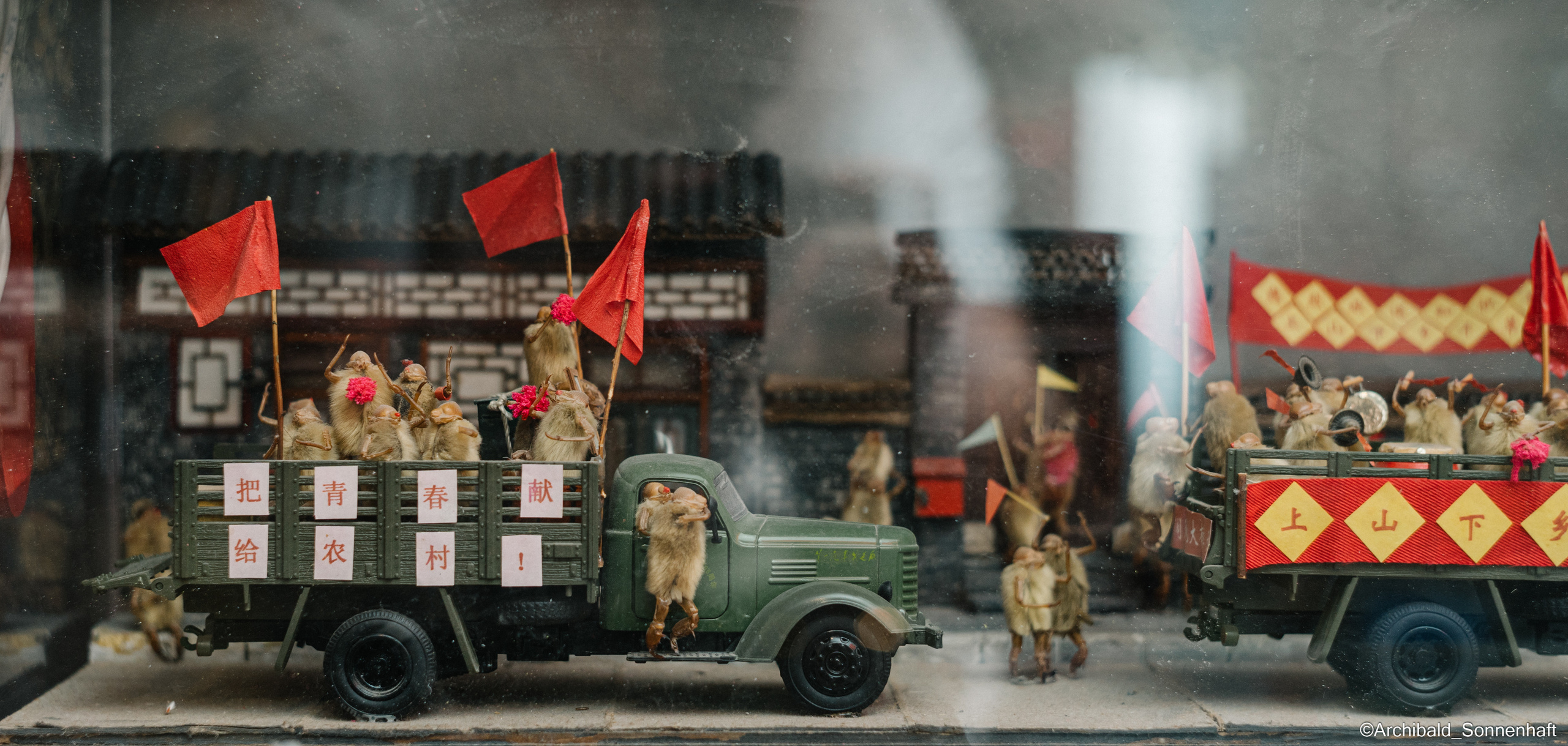 Tianjin specialty “hairy monkey”. Photographer in Guangzhou, China. Archibald Sonnenhaft