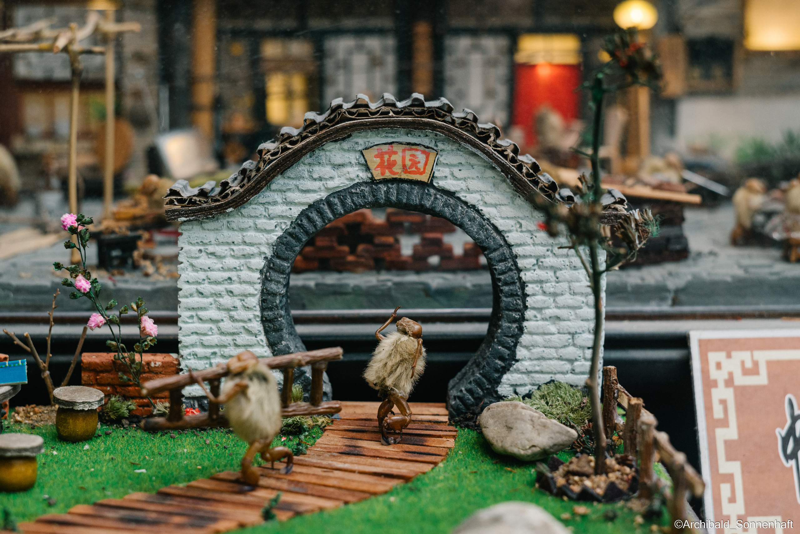 Tianjin specialty “hairy monkey”. Photographer in Guangzhou, China. Archibald Sonnenhaft