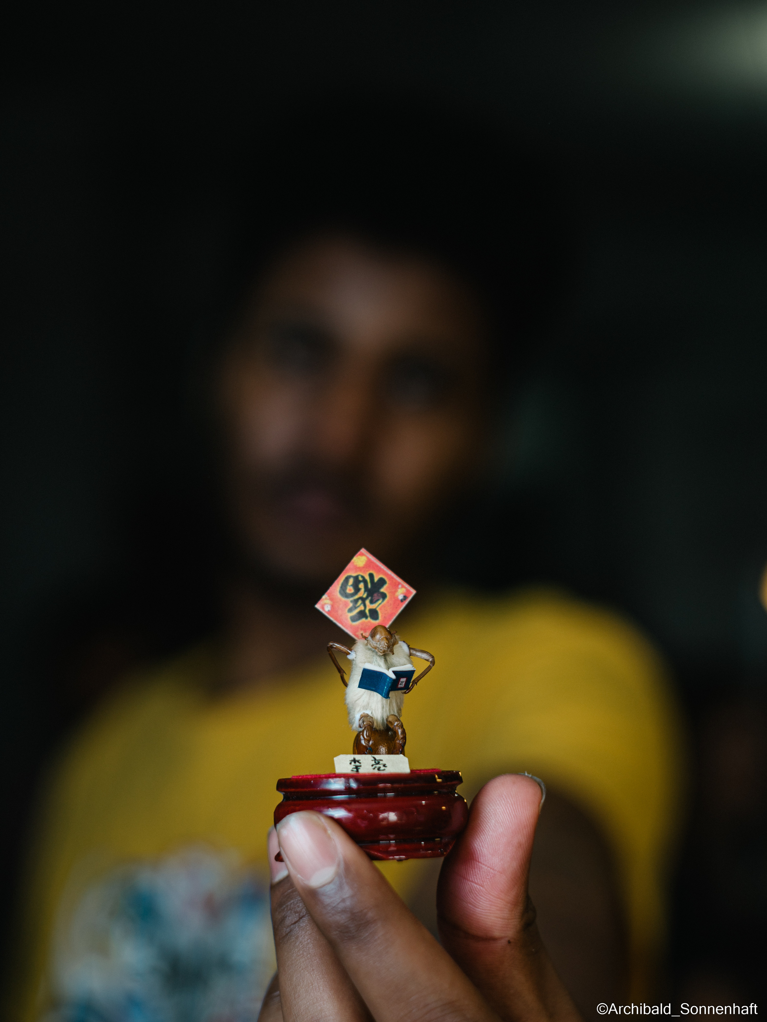 Tianjin specialty “hairy monkey”. Photographer in Guangzhou, China. Archibald Sonnenhaft