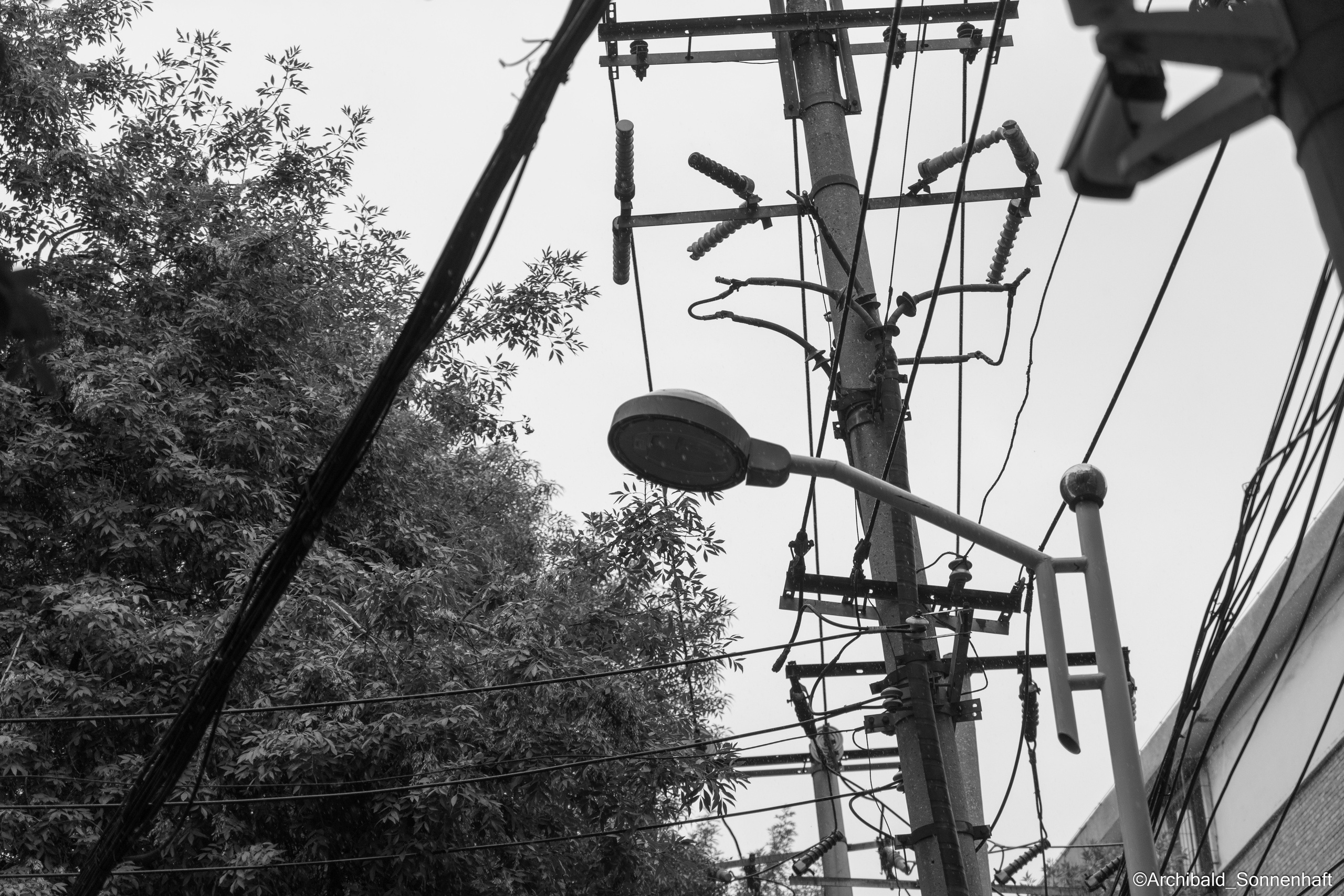 Ununtangleable creations. Photographer in Guangzhou, China. Archibald Sonnenhaft