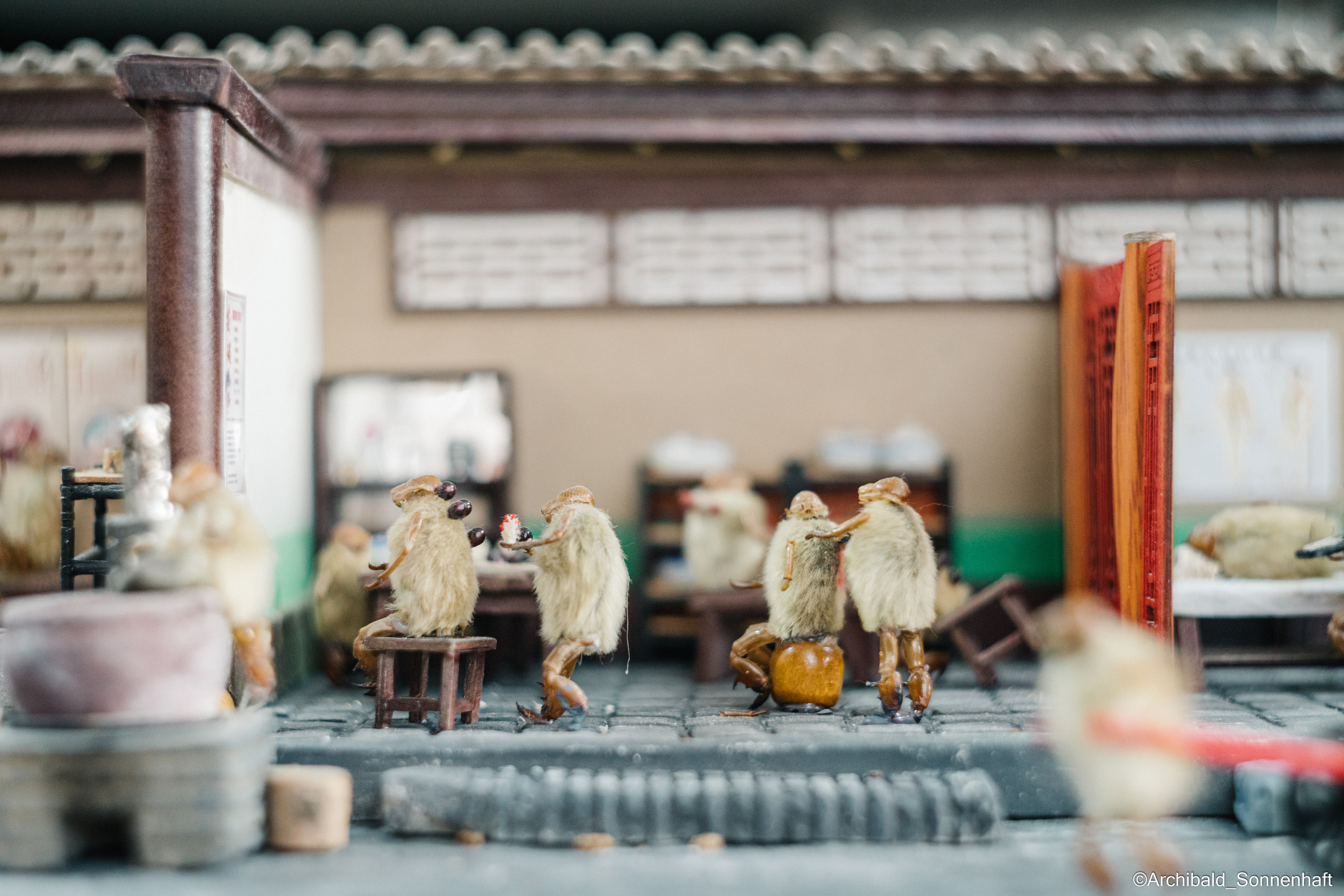 Tianjin specialty “hairy monkey”. Photographer in Guangzhou, China. Archibald Sonnenhaft