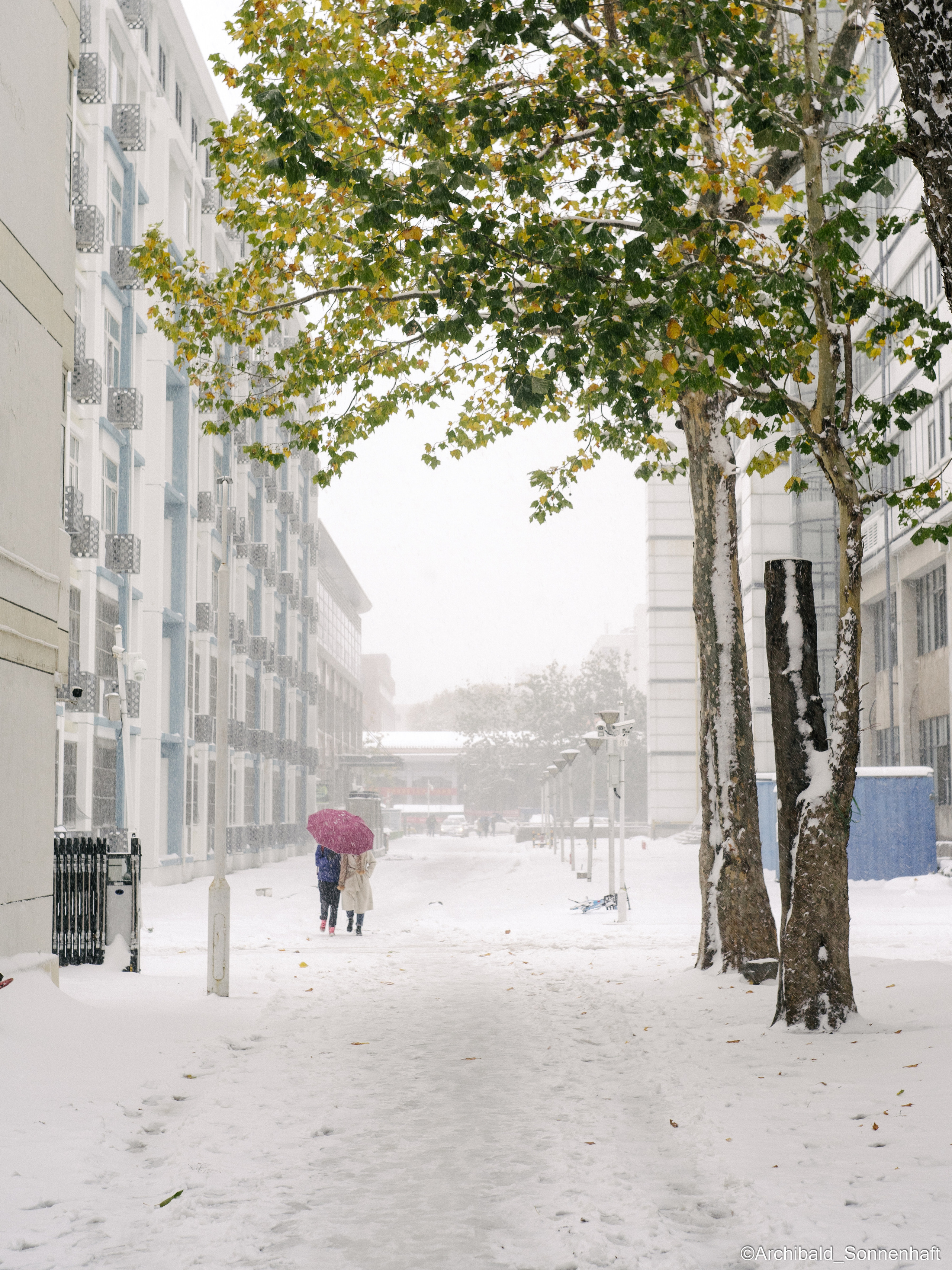 A dump filled with curious photos!. Photographer in Guangzhou, China. Archibald Sonnenhaft