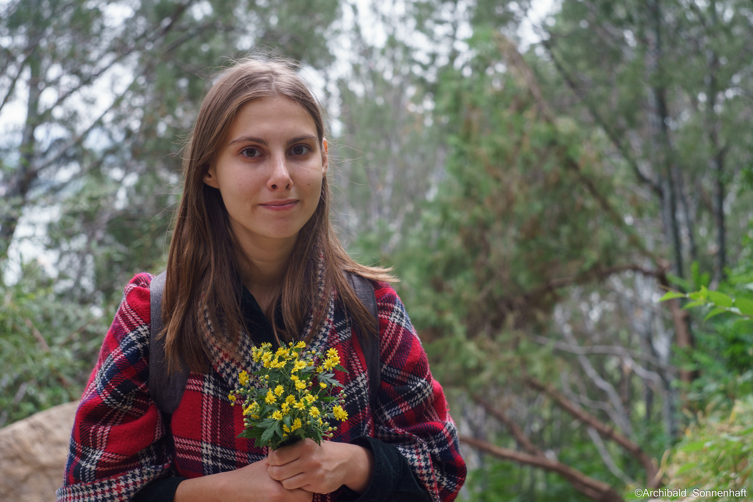 All sorts of leaves and flowers!. Photographer in Guangzhou, China. Archibald Sonnenhaft
