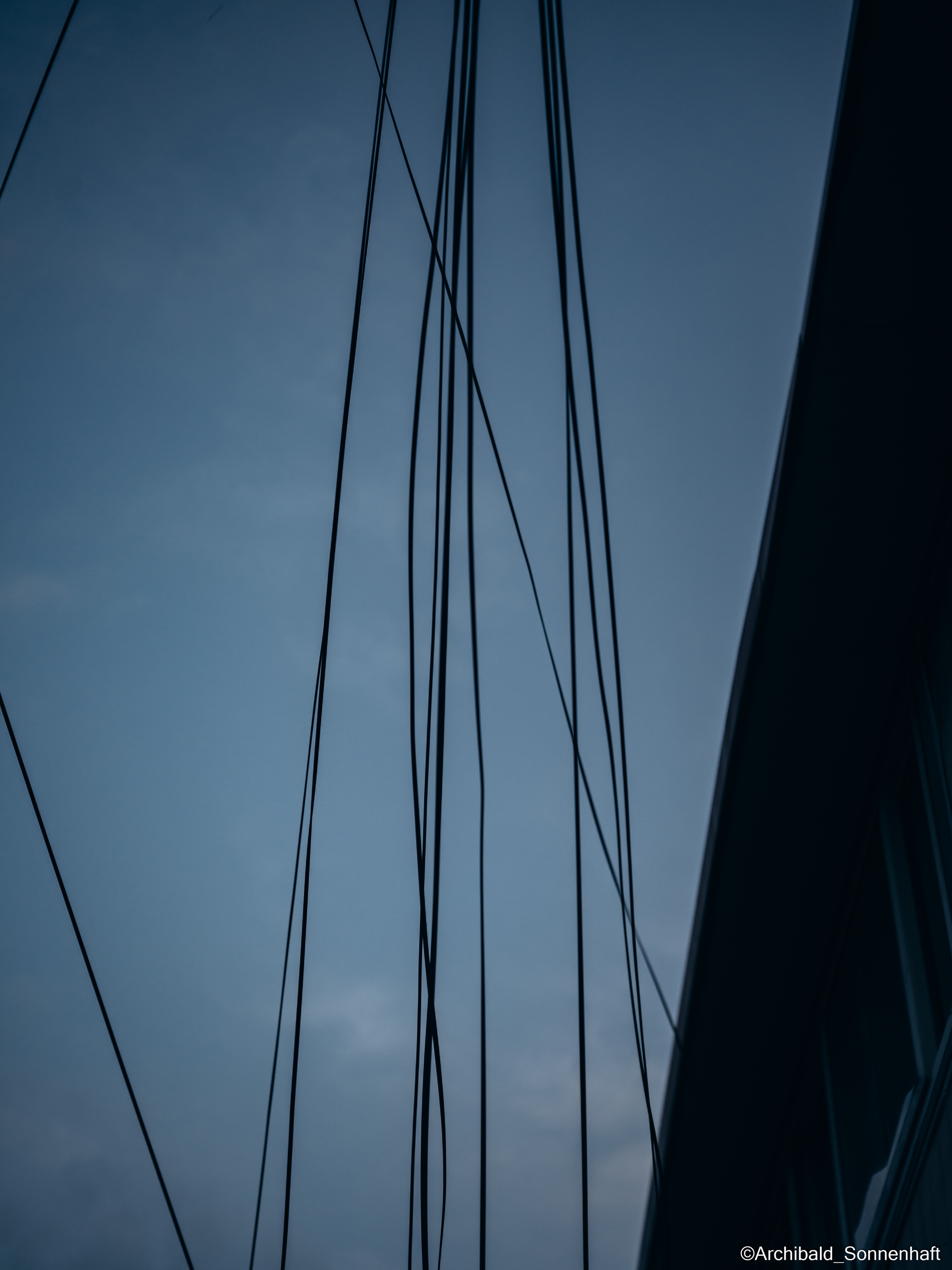 Ununtangleable creations. Photographer in Guangzhou, China. Archibald Sonnenhaft