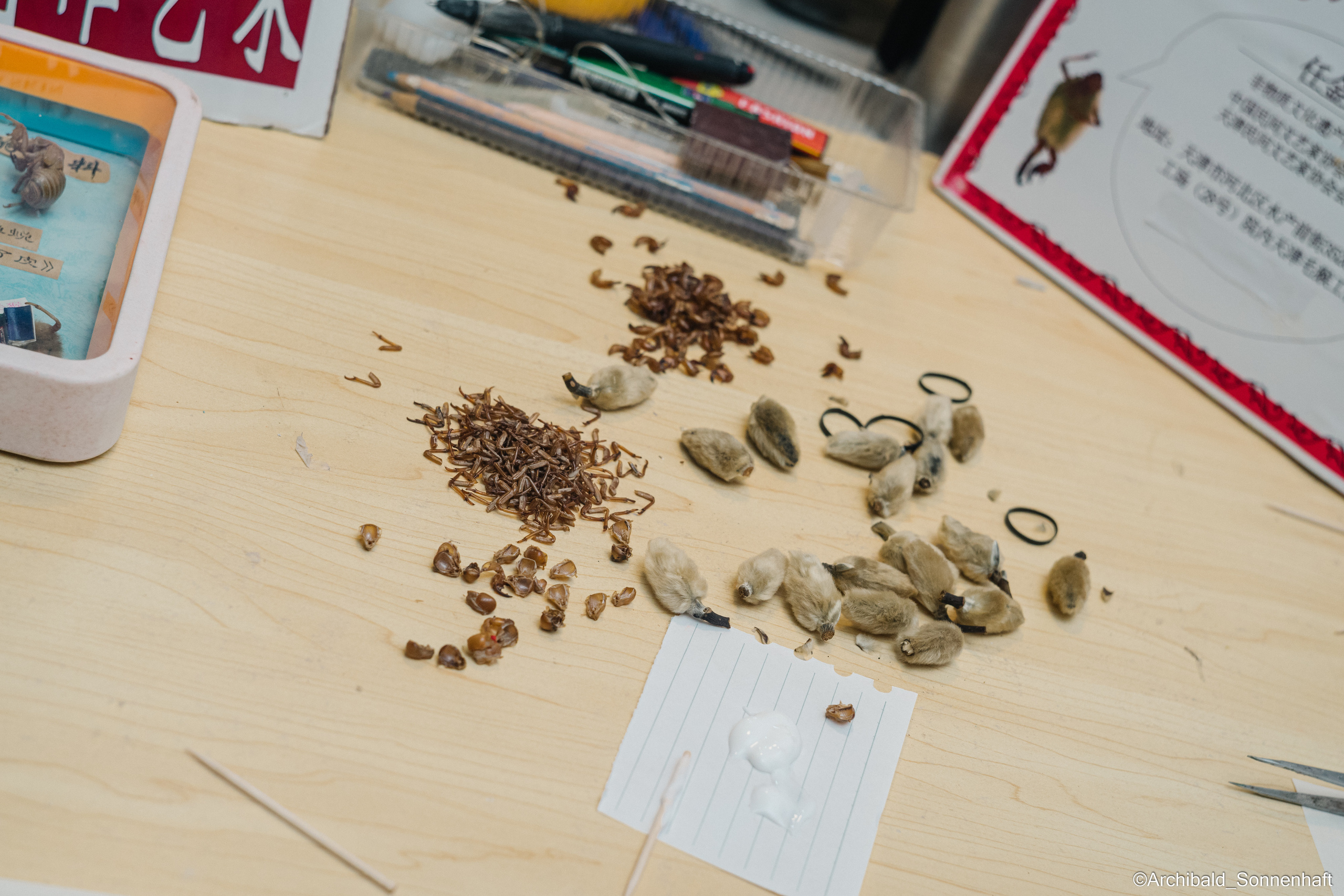 Tianjin specialty “hairy monkey”. Photographer in Guangzhou, China. Archibald Sonnenhaft