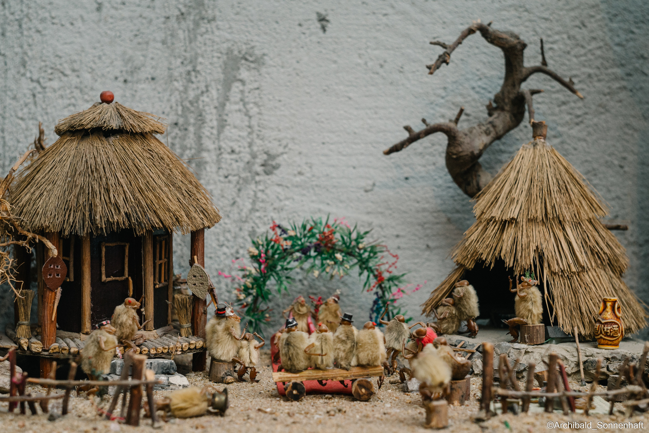 Tianjin specialty “hairy monkey”. Photographer in Guangzhou, China. Archibald Sonnenhaft