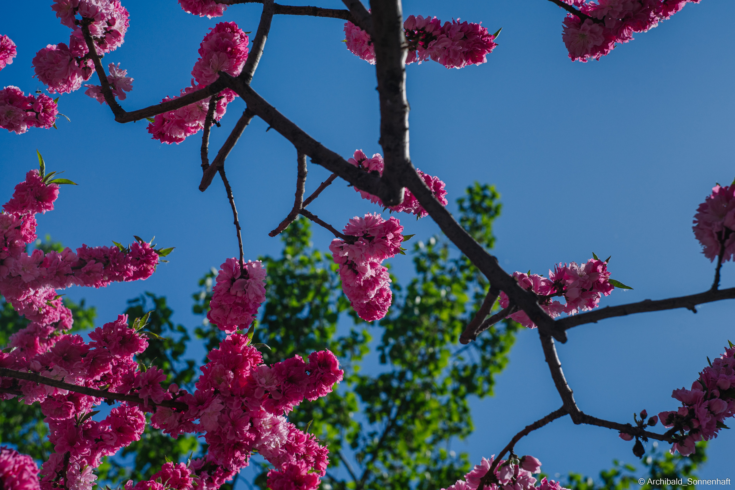 An unexpected walk around the university with my wife and argentine st. Photographer in Guangzhou, China. Archibald Sonnenhaft