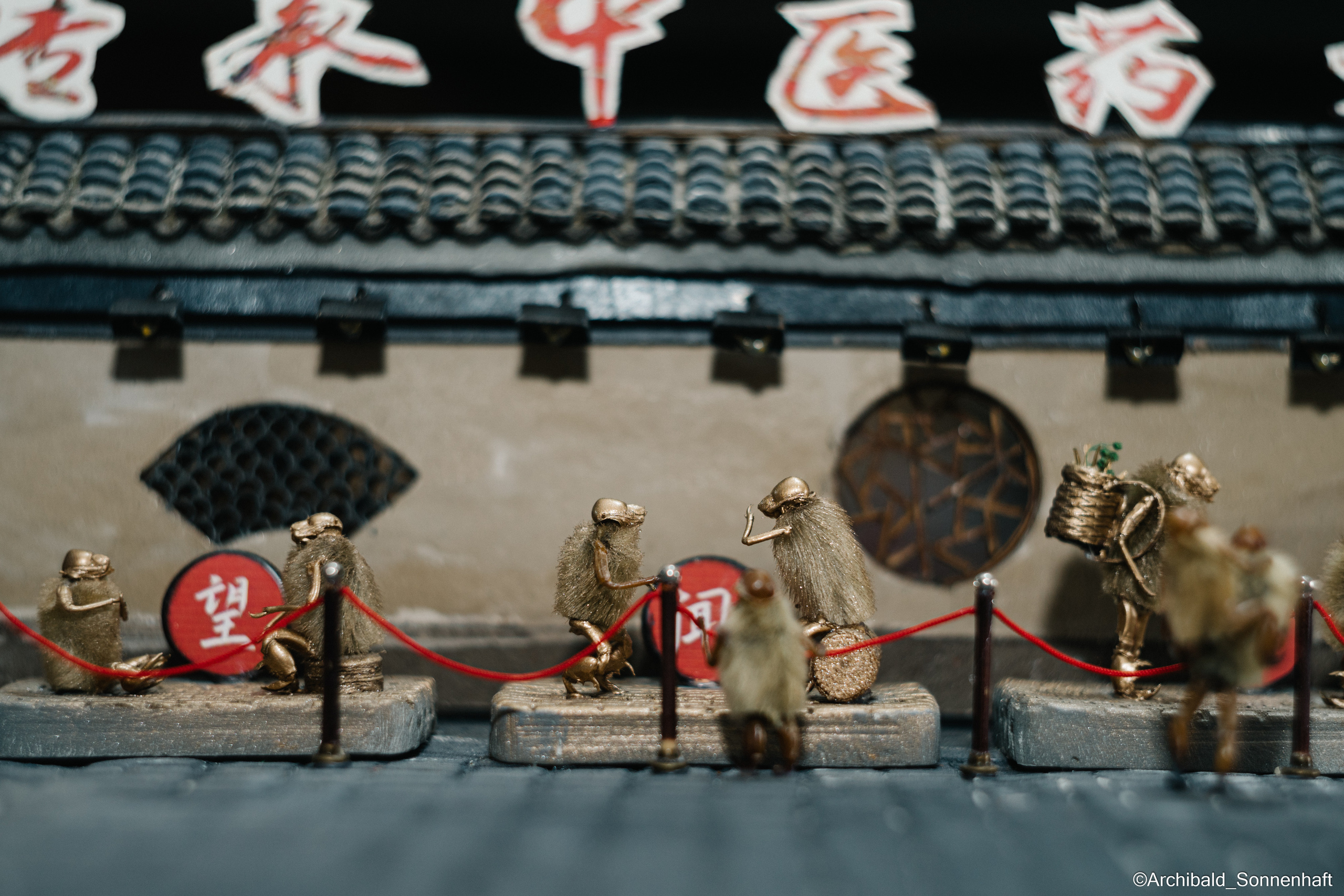 Tianjin specialty “hairy monkey”. Photographer in Guangzhou, China. Archibald Sonnenhaft