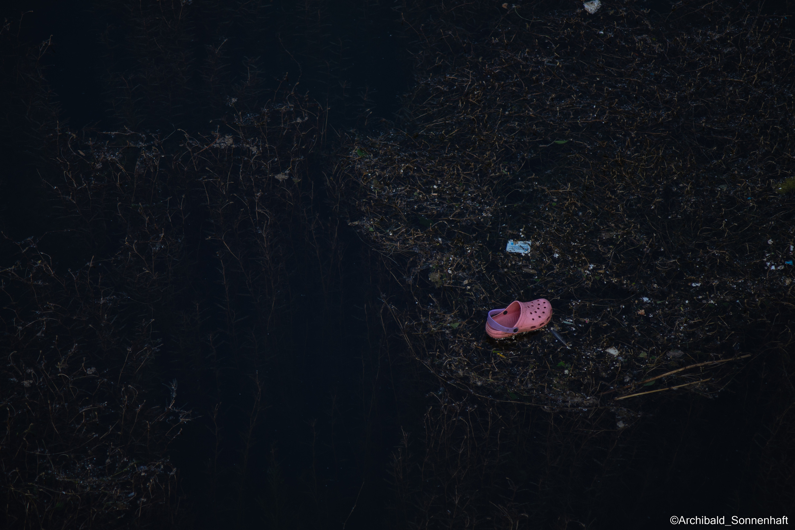 A dump filled with curious photos!. Photographer in Guangzhou, China. Archibald Sonnenhaft
