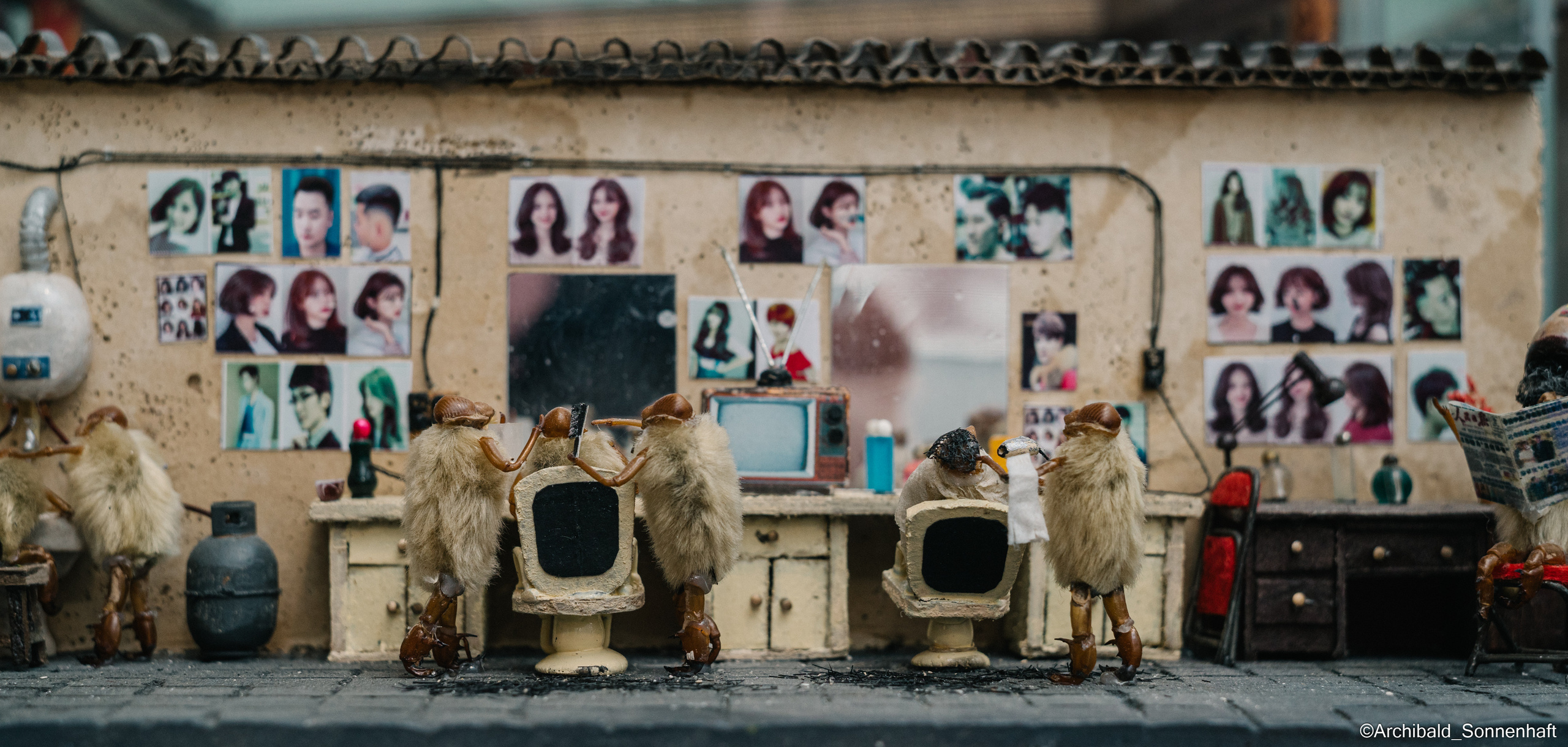 Tianjin specialty “hairy monkey”. Photographer in Guangzhou, China. Archibald Sonnenhaft