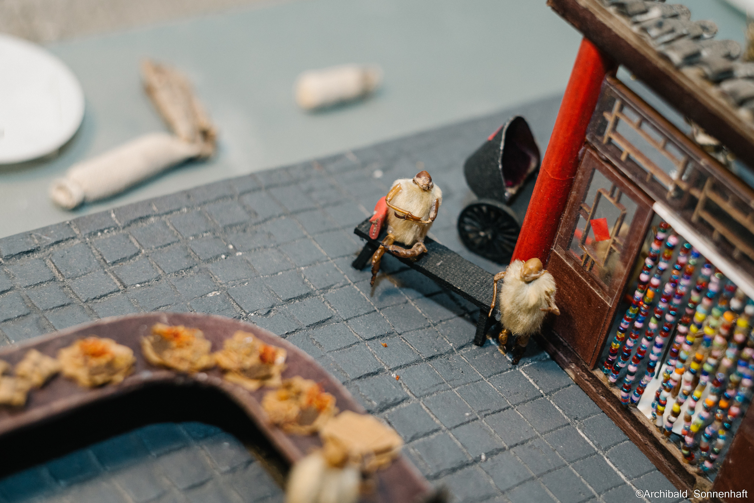 Tianjin specialty “hairy monkey”. Photographer in Guangzhou, China. Archibald Sonnenhaft