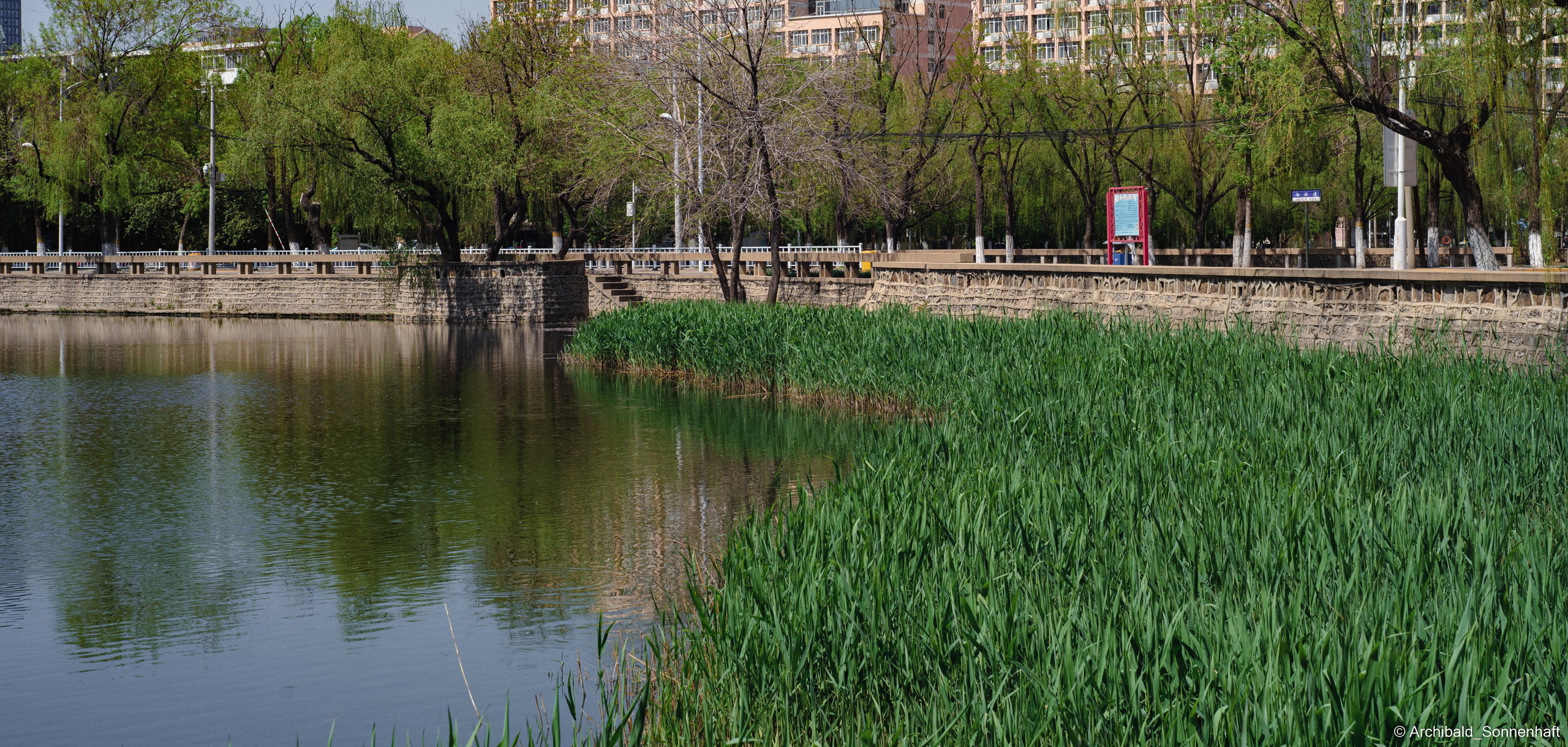 An unexpected walk around the university with my wife and argentine st. Photographer in Guangzhou, China. Archibald Sonnenhaft