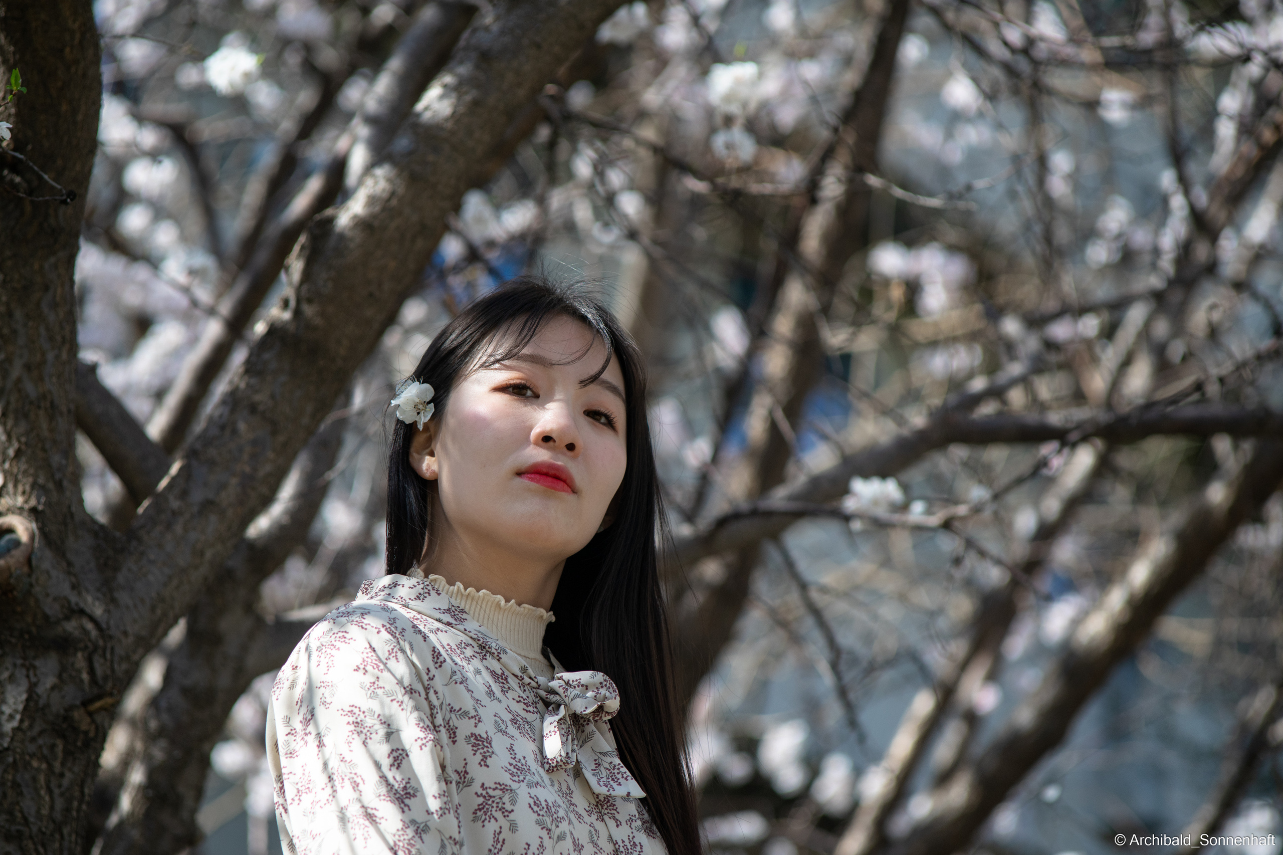 장유진 [jiang yu jin] — Korean student of the School of International Edu. Photographer in Guangzhou, China. Archibald Sonnenhaft