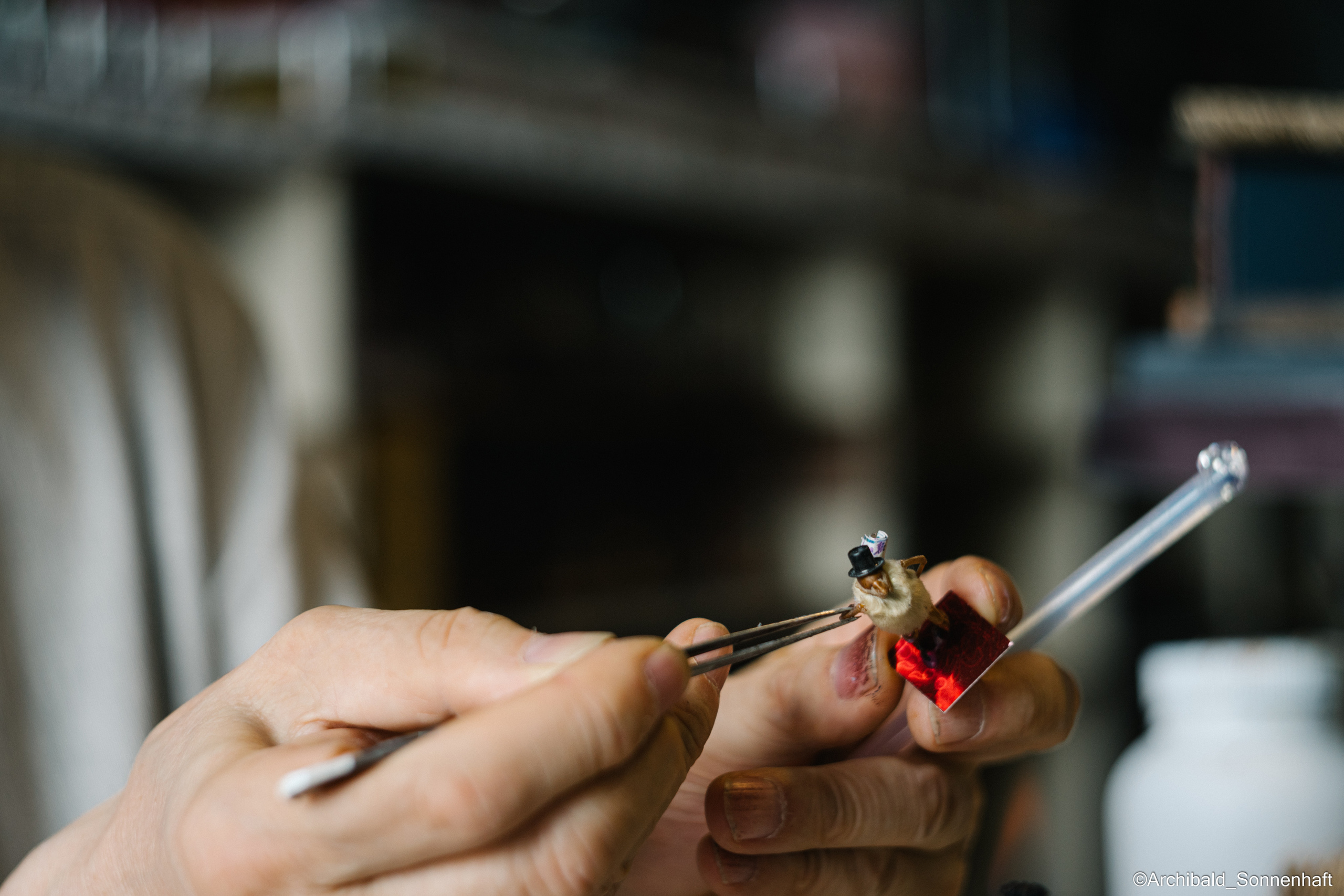 Tianjin specialty “hairy monkey”. Photographer in Guangzhou, China. Archibald Sonnenhaft