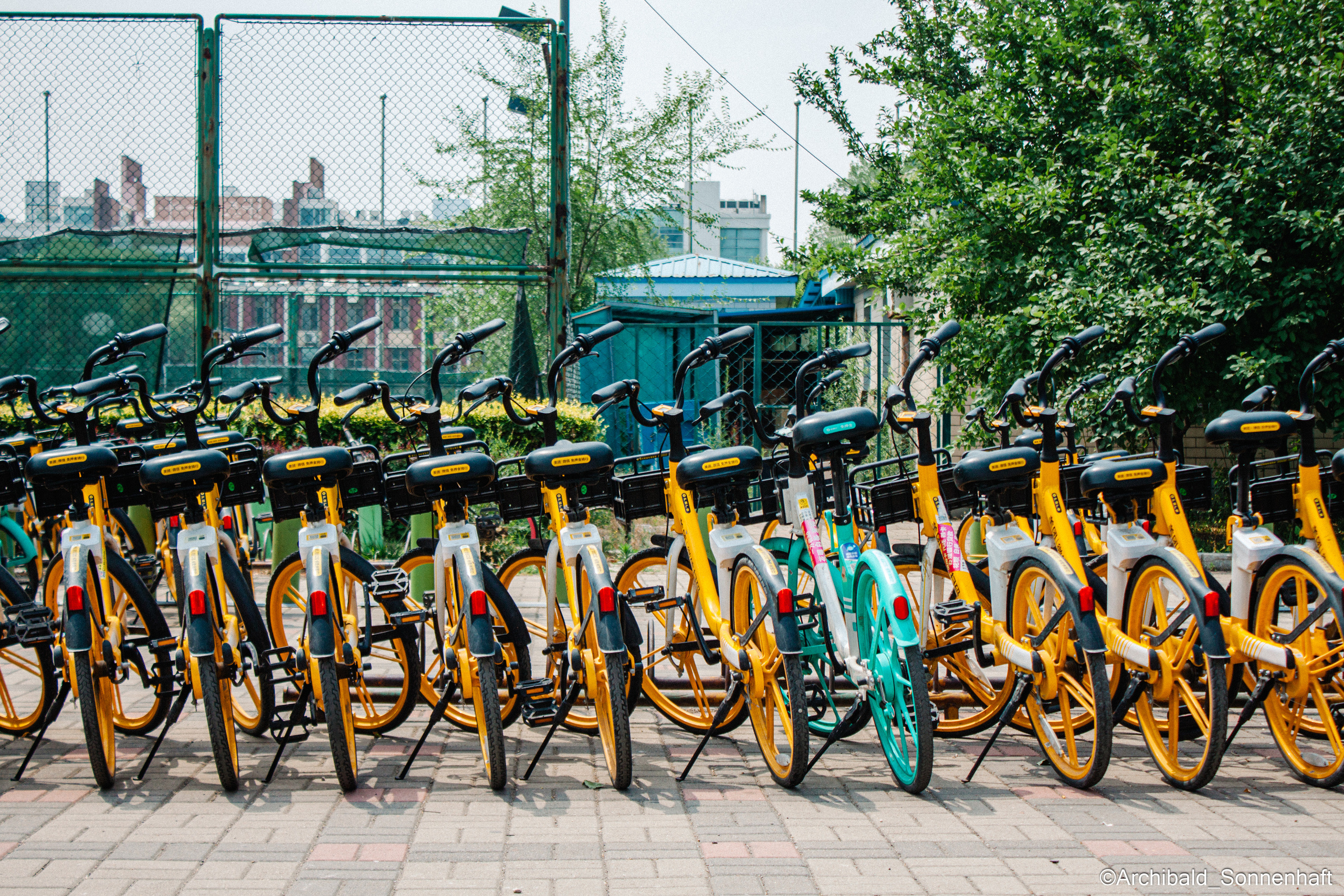 Tennis morning. Photographer in Guangzhou, China. Archibald Sonnenhaft