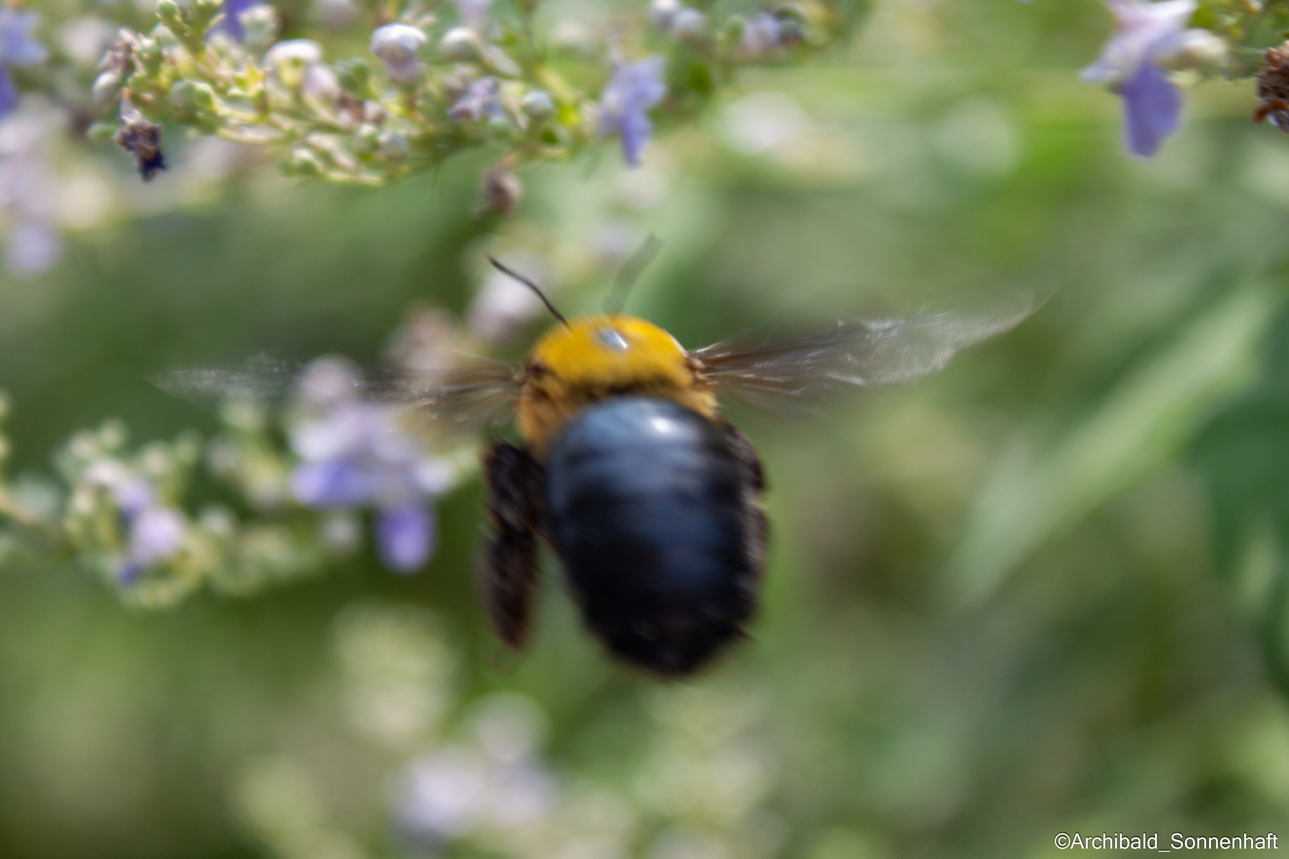Tennis morning. Photographer in Guangzhou, China. Archibald Sonnenhaft