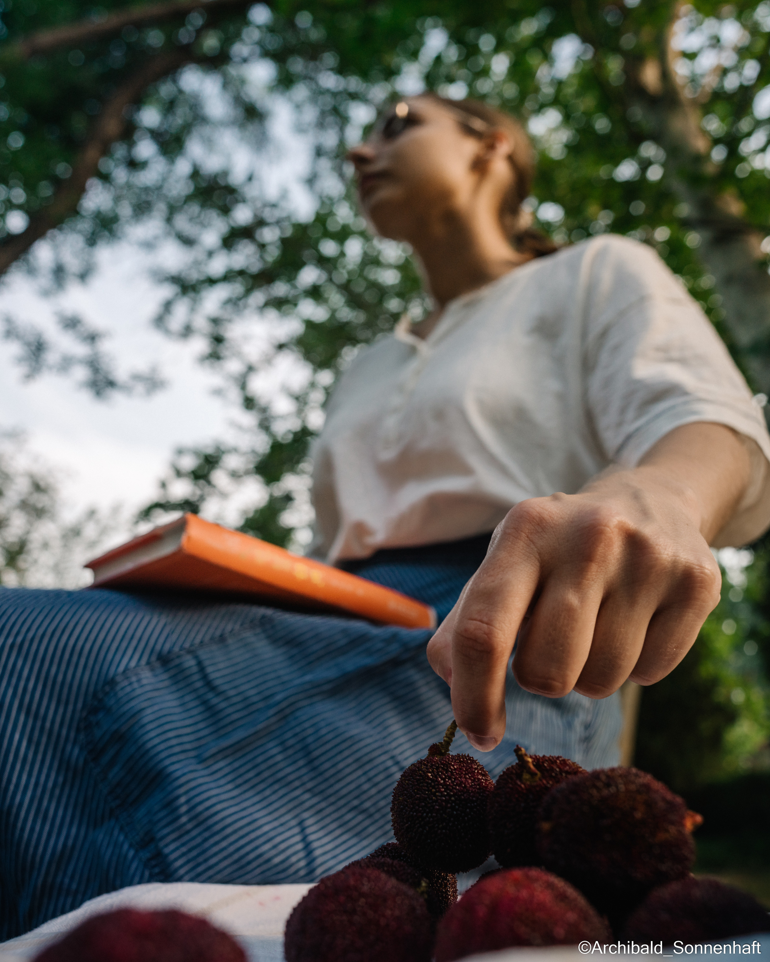 YangMei 杨梅，Bayberry. Photographer in Guangzhou, China. Archibald Sonnenhaft