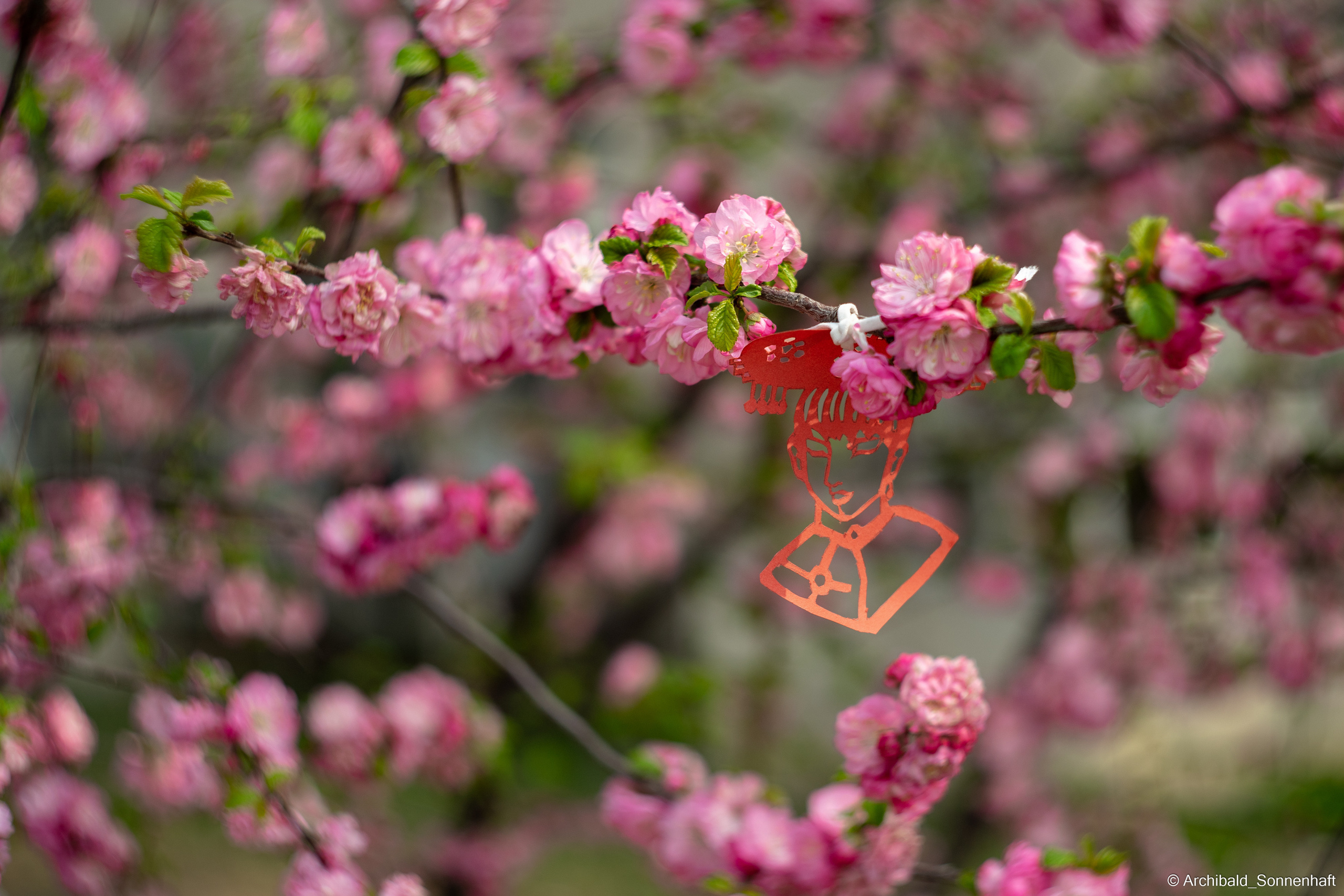 Tennis!. Photographer in Guangzhou, China. Archibald Sonnenhaft