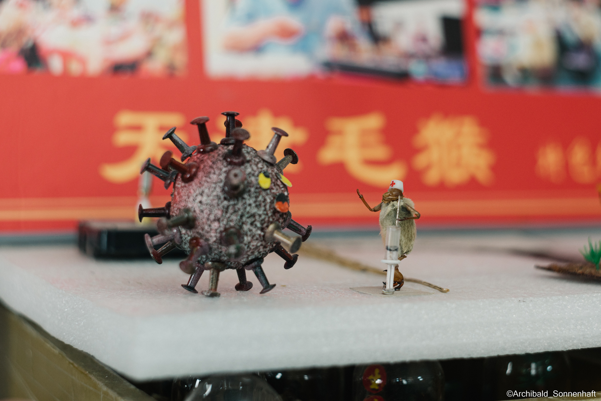 Tianjin specialty “hairy monkey”. Photographer in Guangzhou, China. Archibald Sonnenhaft