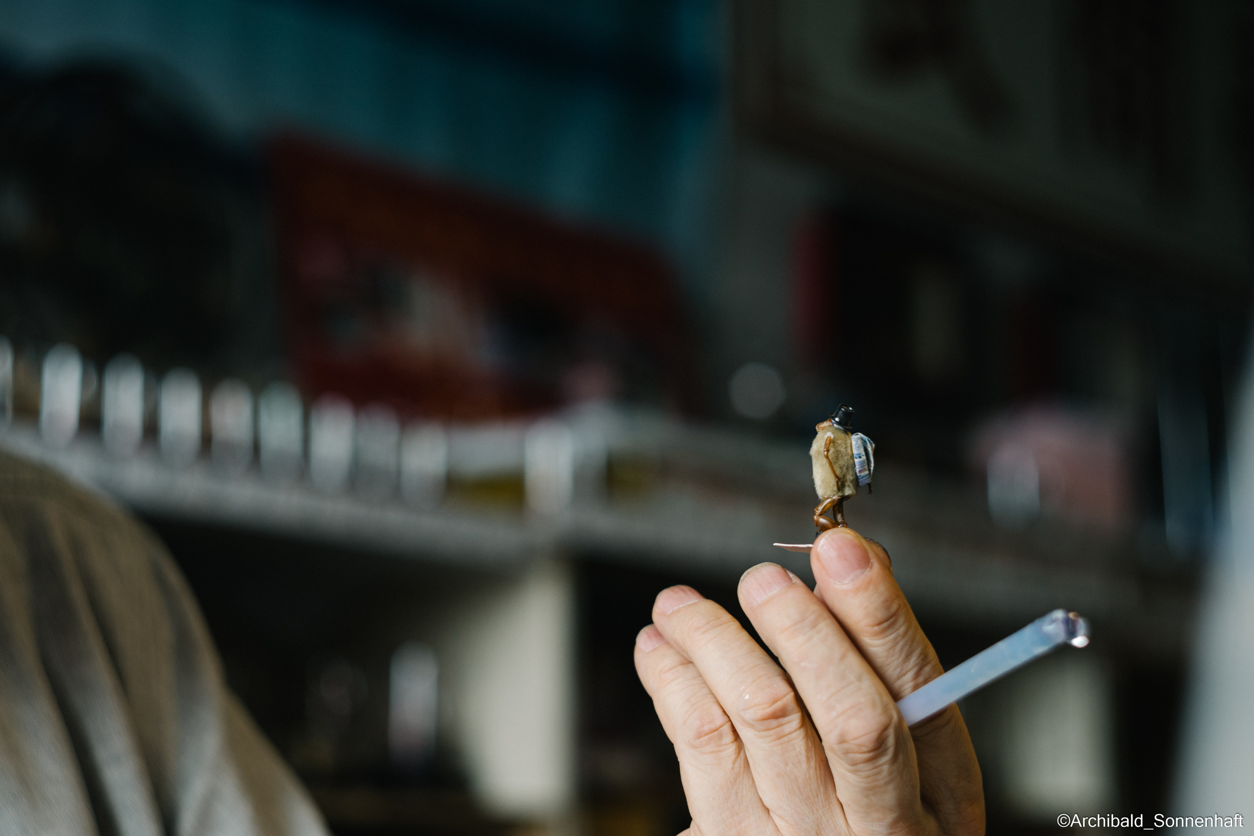 Tianjin specialty “hairy monkey”. Photographer in Guangzhou, China. Archibald Sonnenhaft