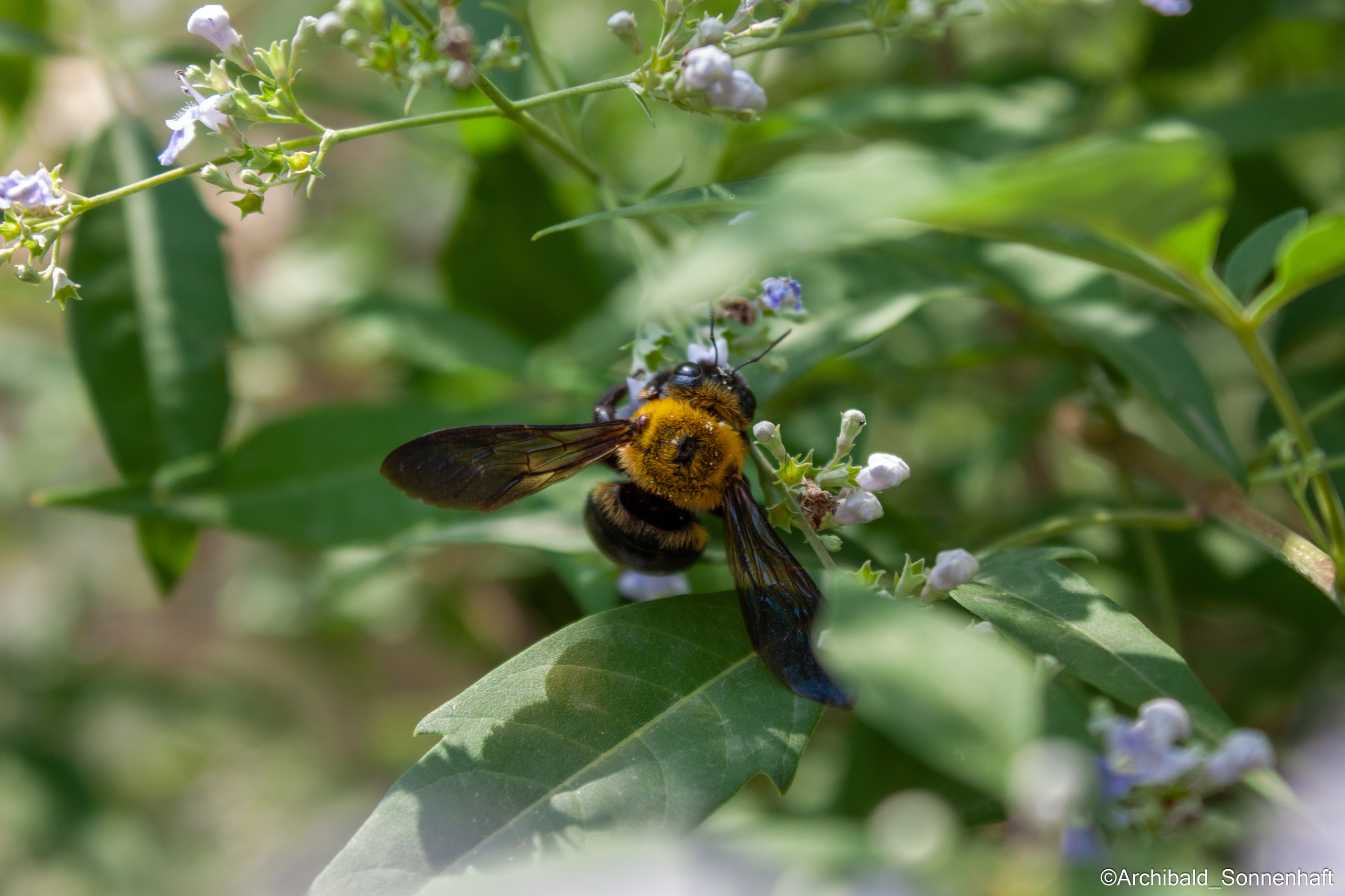 Tennis morning. Photographer in Guangzhou, China. Archibald Sonnenhaft
