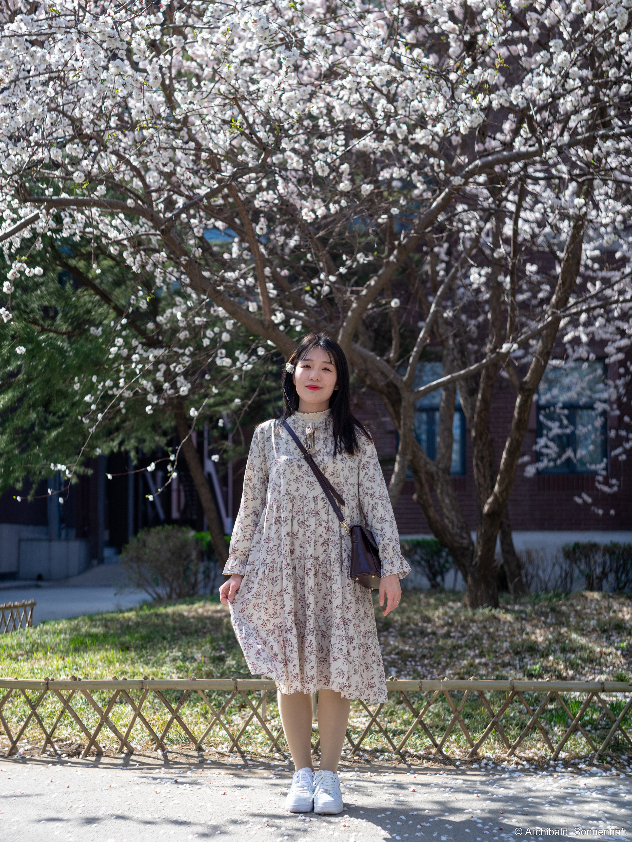 장유진 [jiang yu jin] — Korean student of the School of International Edu. Photographer in Guangzhou, China. Archibald Sonnenhaft