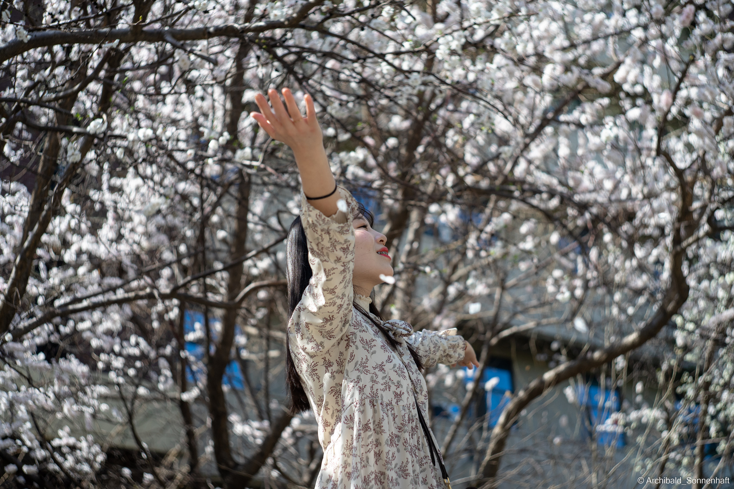 장유진 [jiang yu jin] — Korean student of the School of International Edu. Photographer in Guangzhou, China. Archibald Sonnenhaft