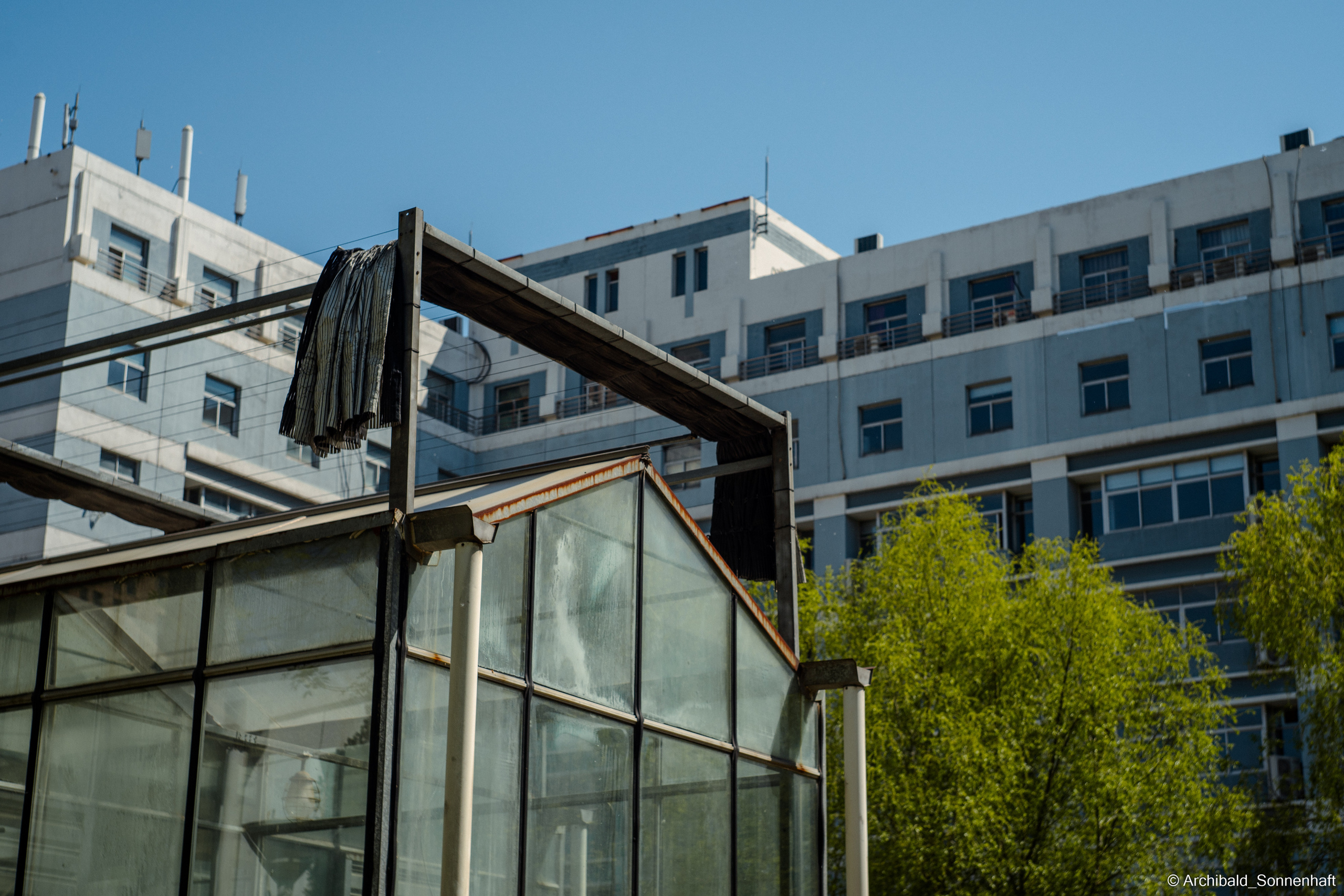 An unexpected walk around the university with my wife and argentine st. Photographer in Guangzhou, China. Archibald Sonnenhaft
