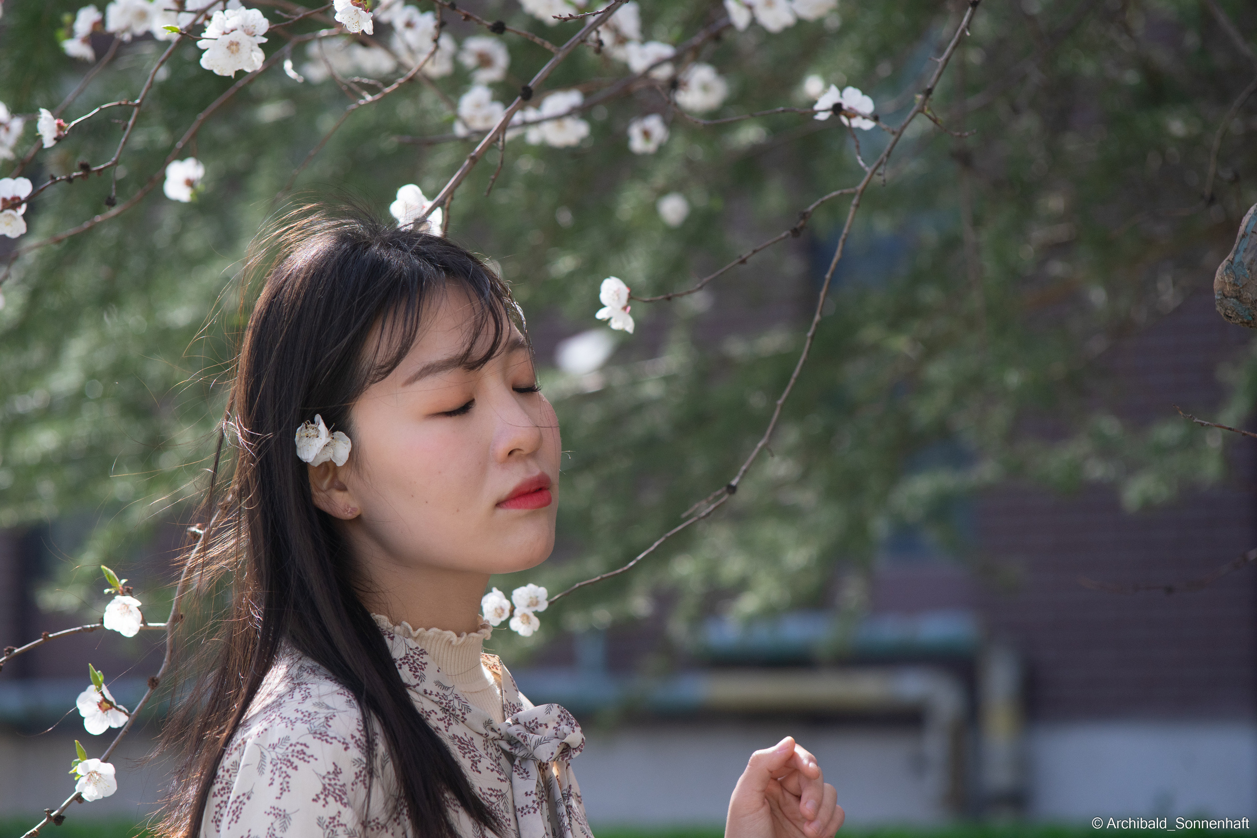 장유진 [jiang yu jin] — Korean student of the School of International Edu. Photographer in Guangzhou, China. Archibald Sonnenhaft