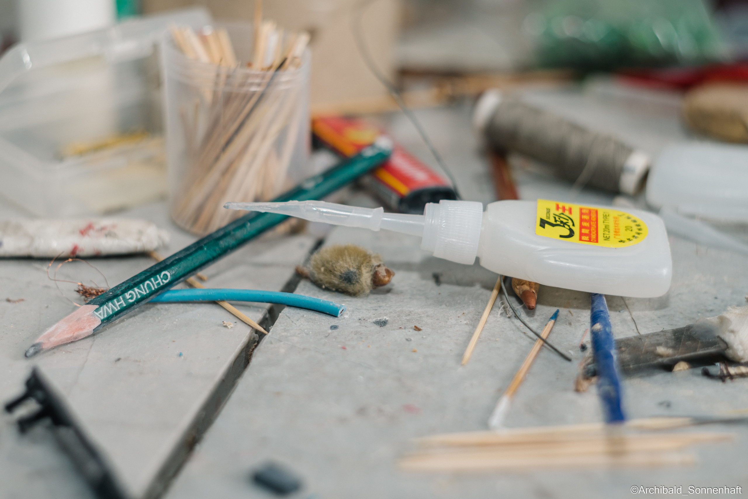 Tianjin specialty “hairy monkey”. Photographer in Guangzhou, China. Archibald Sonnenhaft