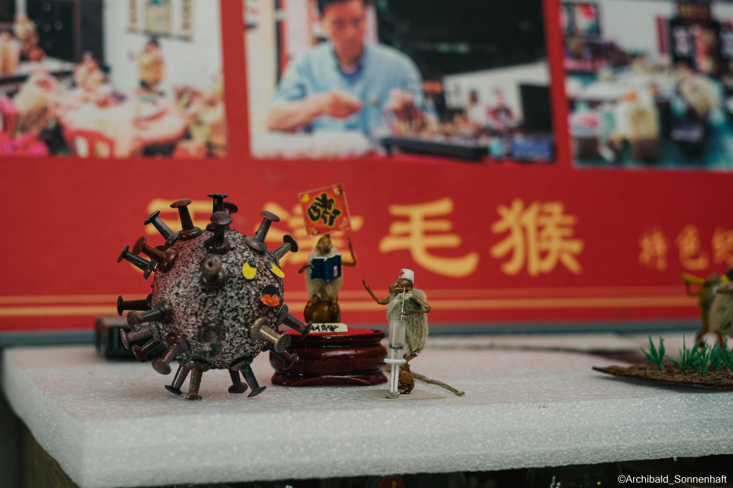 Tianjin specialty “hairy monkey”. Photographer in Guangzhou, China. Archibald Sonnenhaft