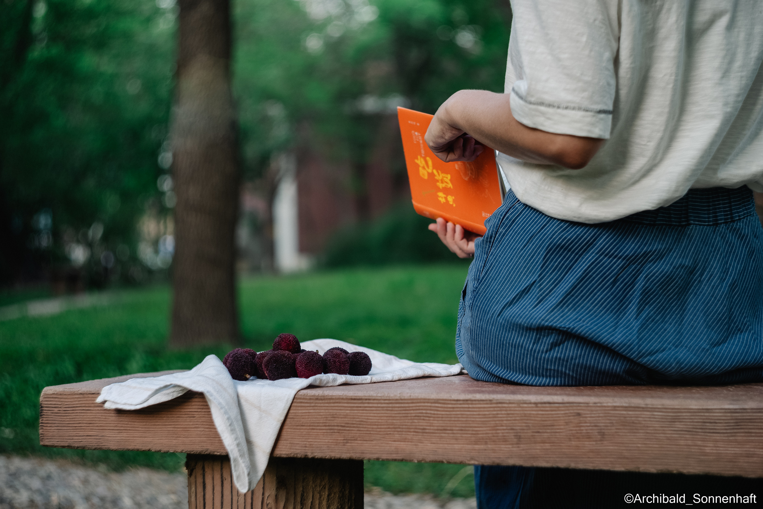 YangMei 杨梅，Bayberry. Photographer in Guangzhou, China. Archibald Sonnenhaft