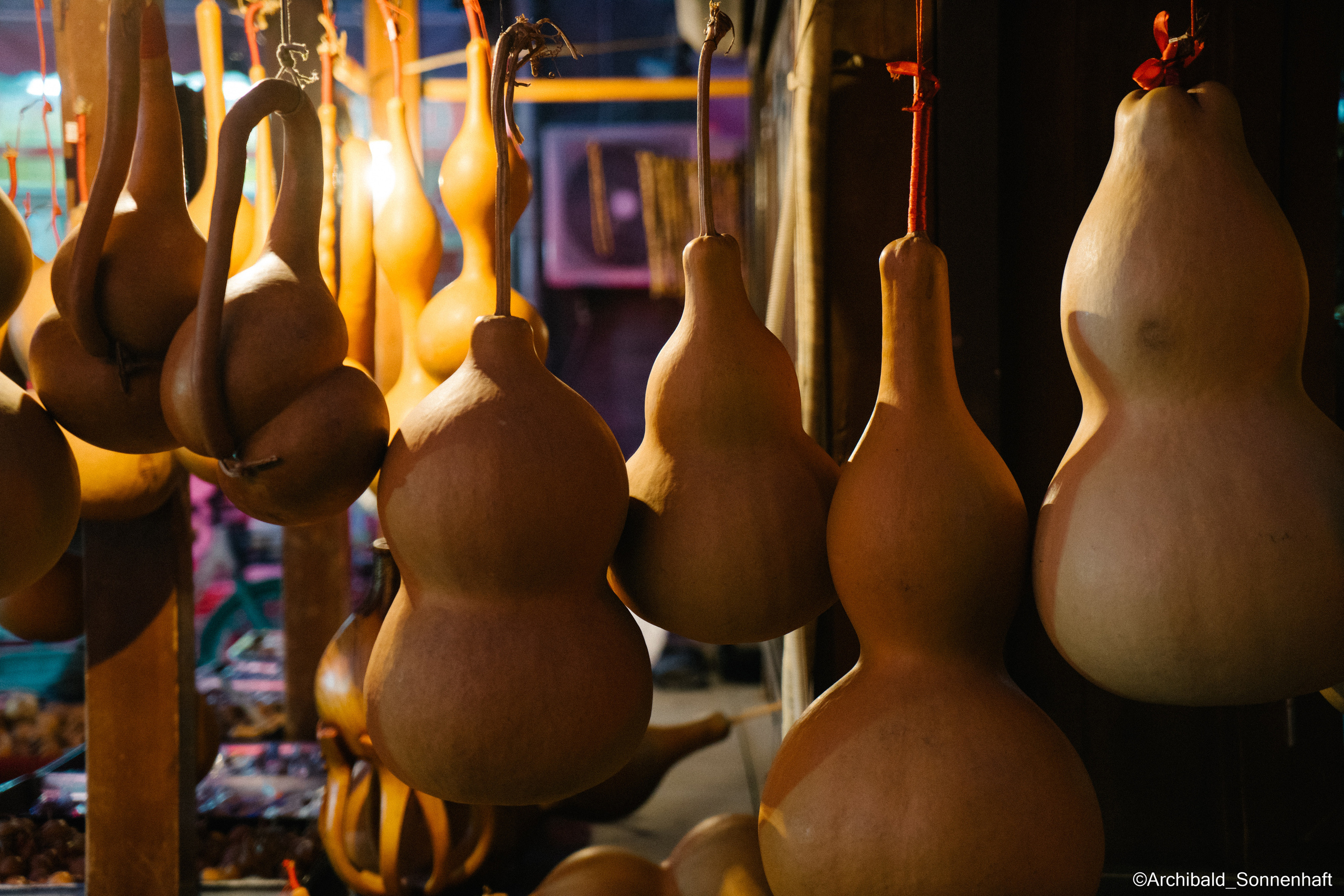 All sorts of leaves and flowers!. Photographer in Guangzhou, China. Archibald Sonnenhaft