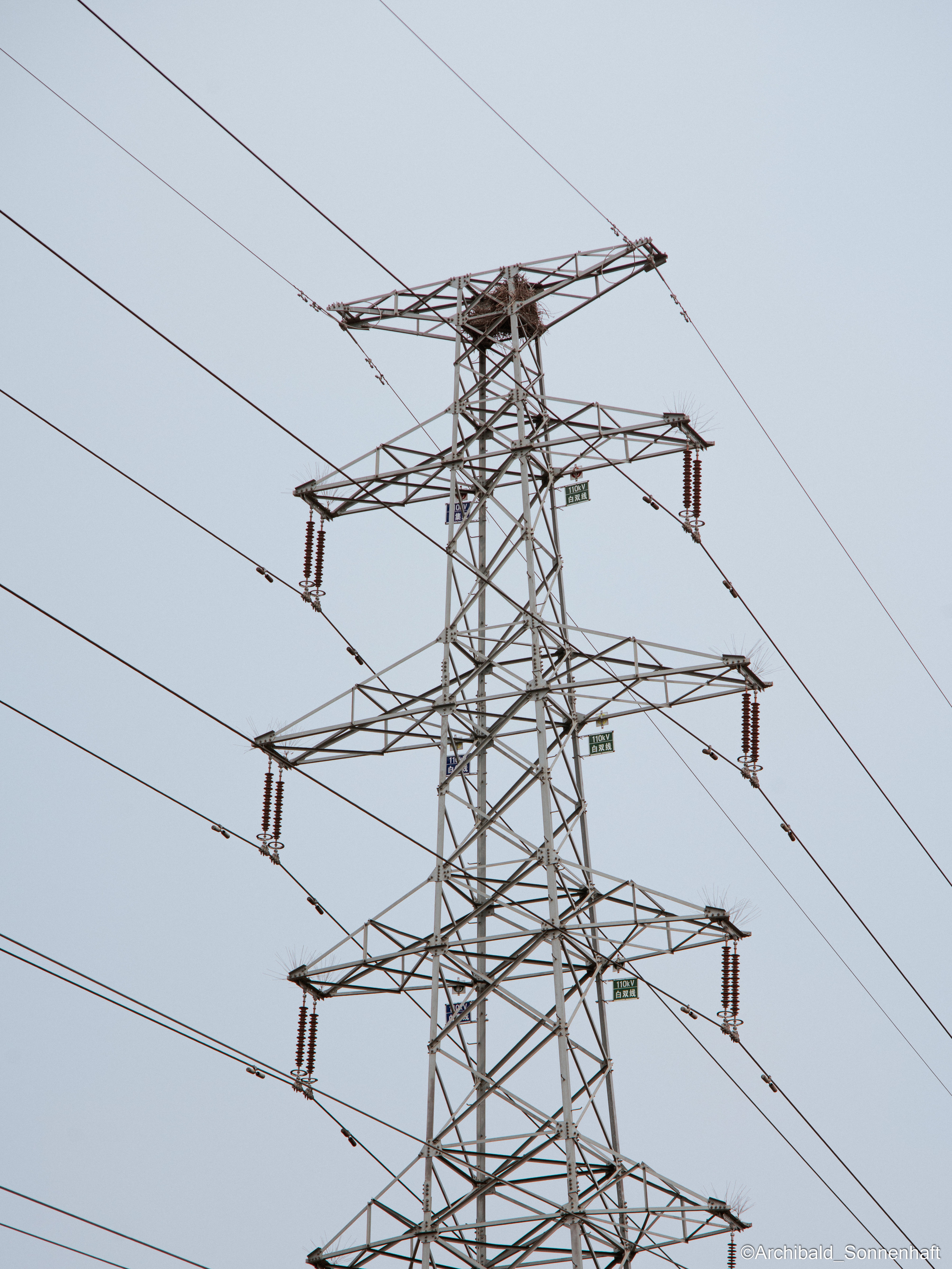 Ununtangleable creations. Photographer in Guangzhou, China. Archibald Sonnenhaft