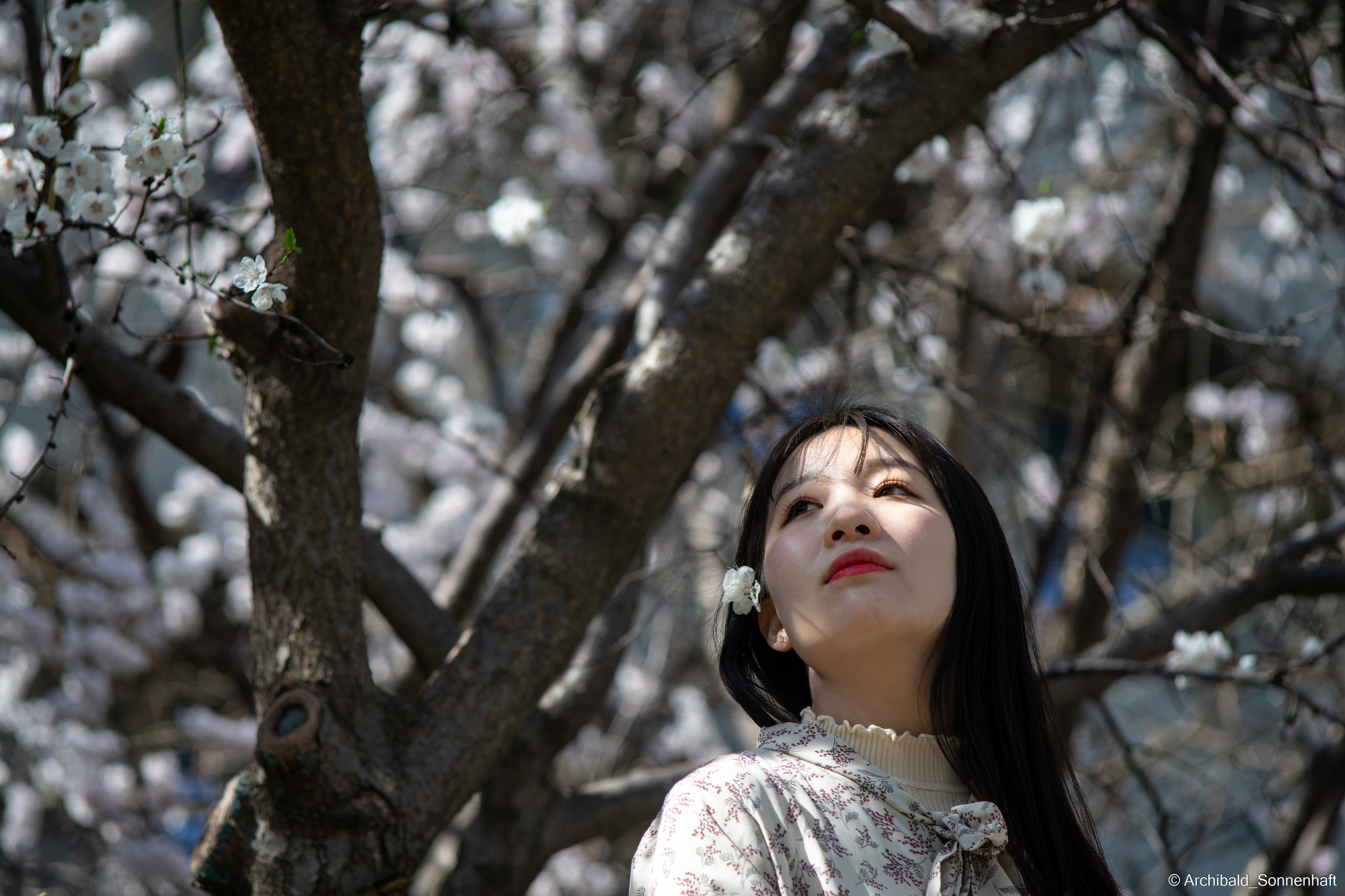 장유진 [jiang yu jin] — Korean student of the School of International Edu. Photographer in Guangzhou, China. Archibald Sonnenhaft