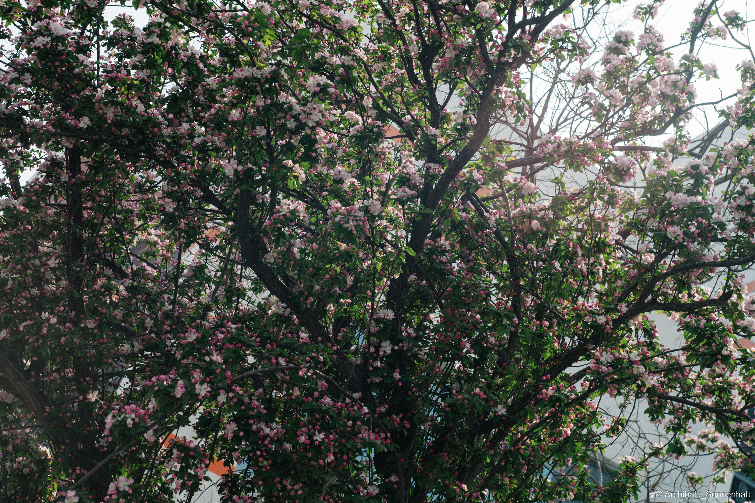 Tennis!. Photographer in Guangzhou, China. Archibald Sonnenhaft