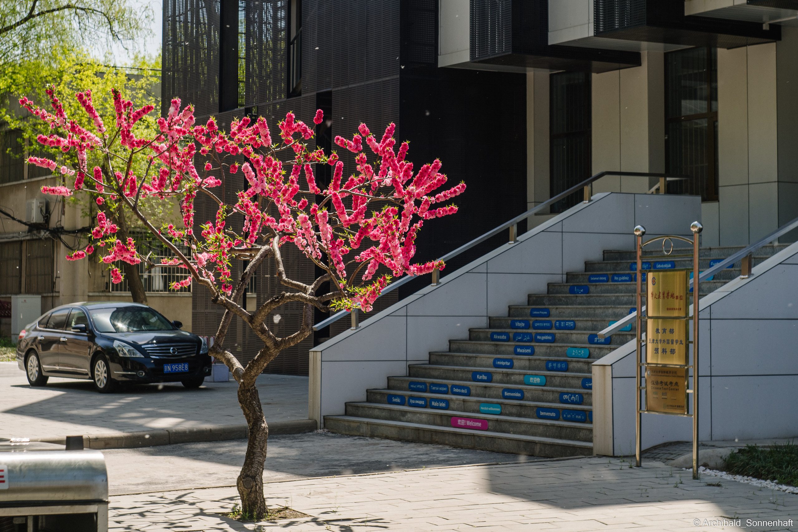 An unexpected walk around the university with my wife and argentine st. Photographer in Guangzhou, China. Archibald Sonnenhaft