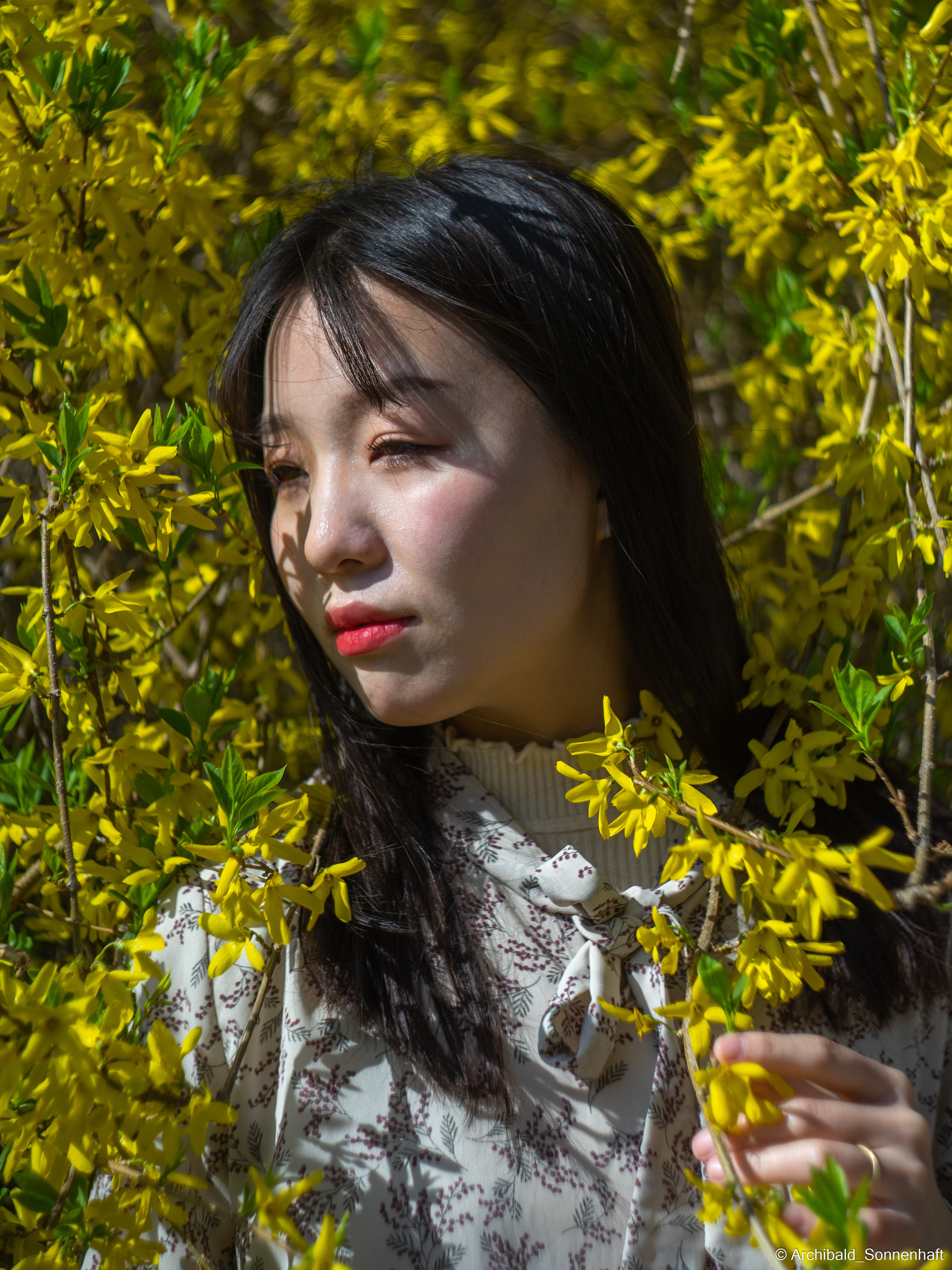 장유진 [jiang yu jin] — Korean student of the School of International Edu. Photographer in Guangzhou, China. Archibald Sonnenhaft