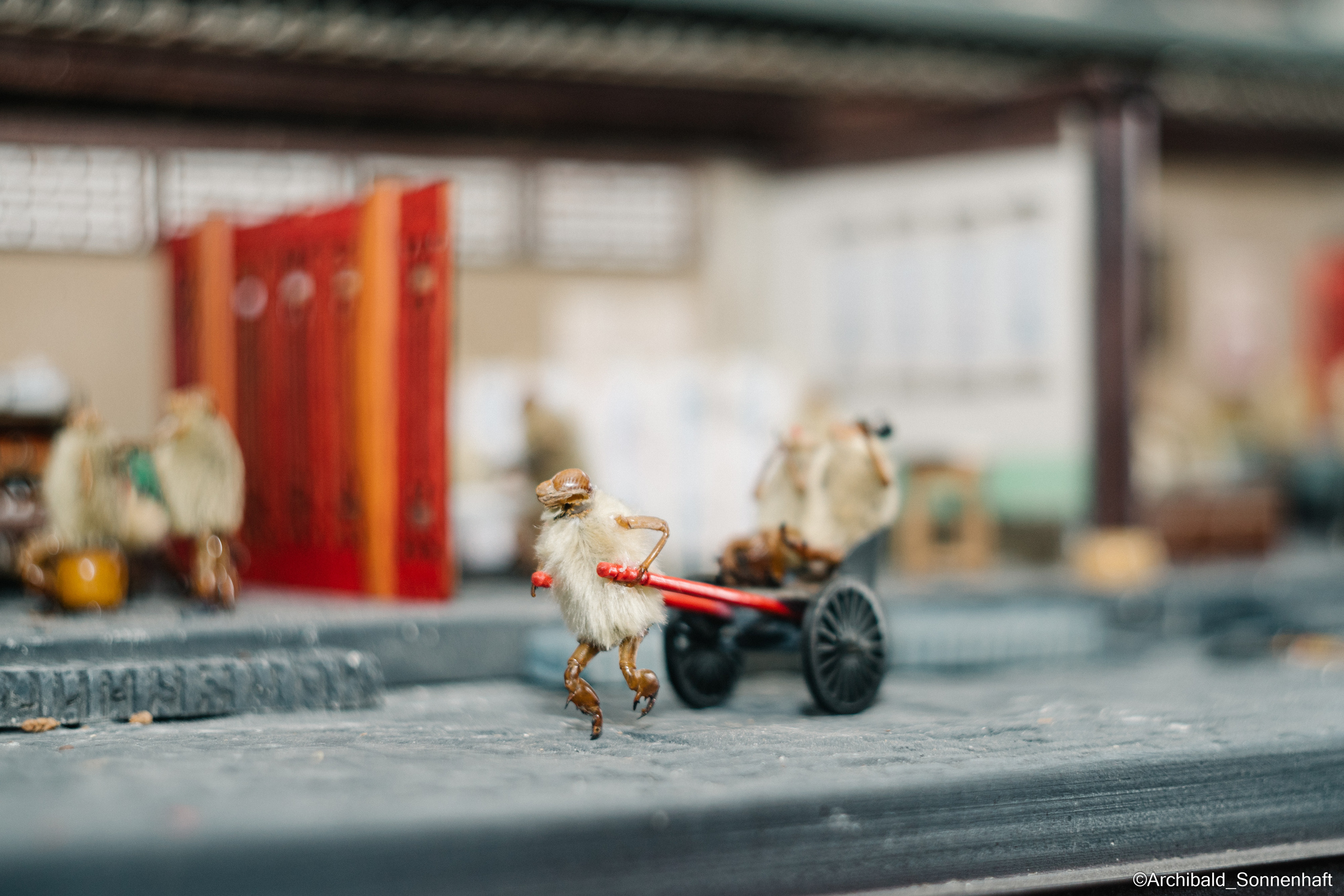 Tianjin specialty “hairy monkey”. Photographer in Guangzhou, China. Archibald Sonnenhaft