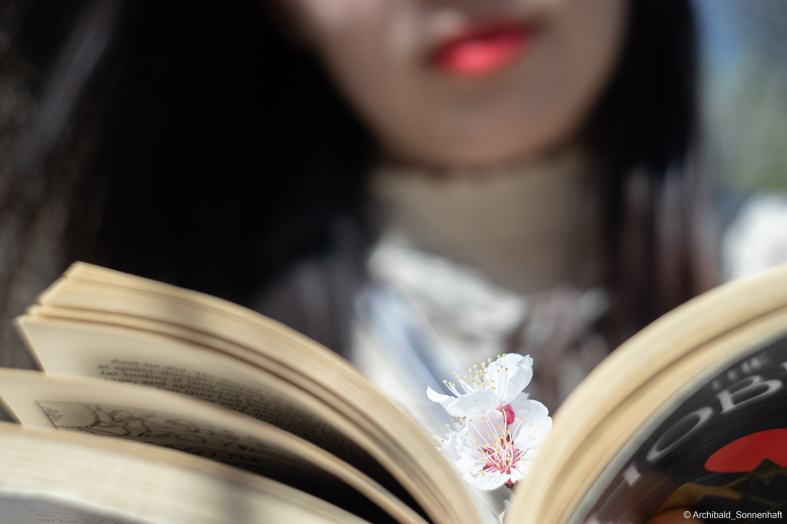 장유진 [jiang yu jin] — Korean student of the School of International Edu. Photographer in Guangzhou, China. Archibald Sonnenhaft