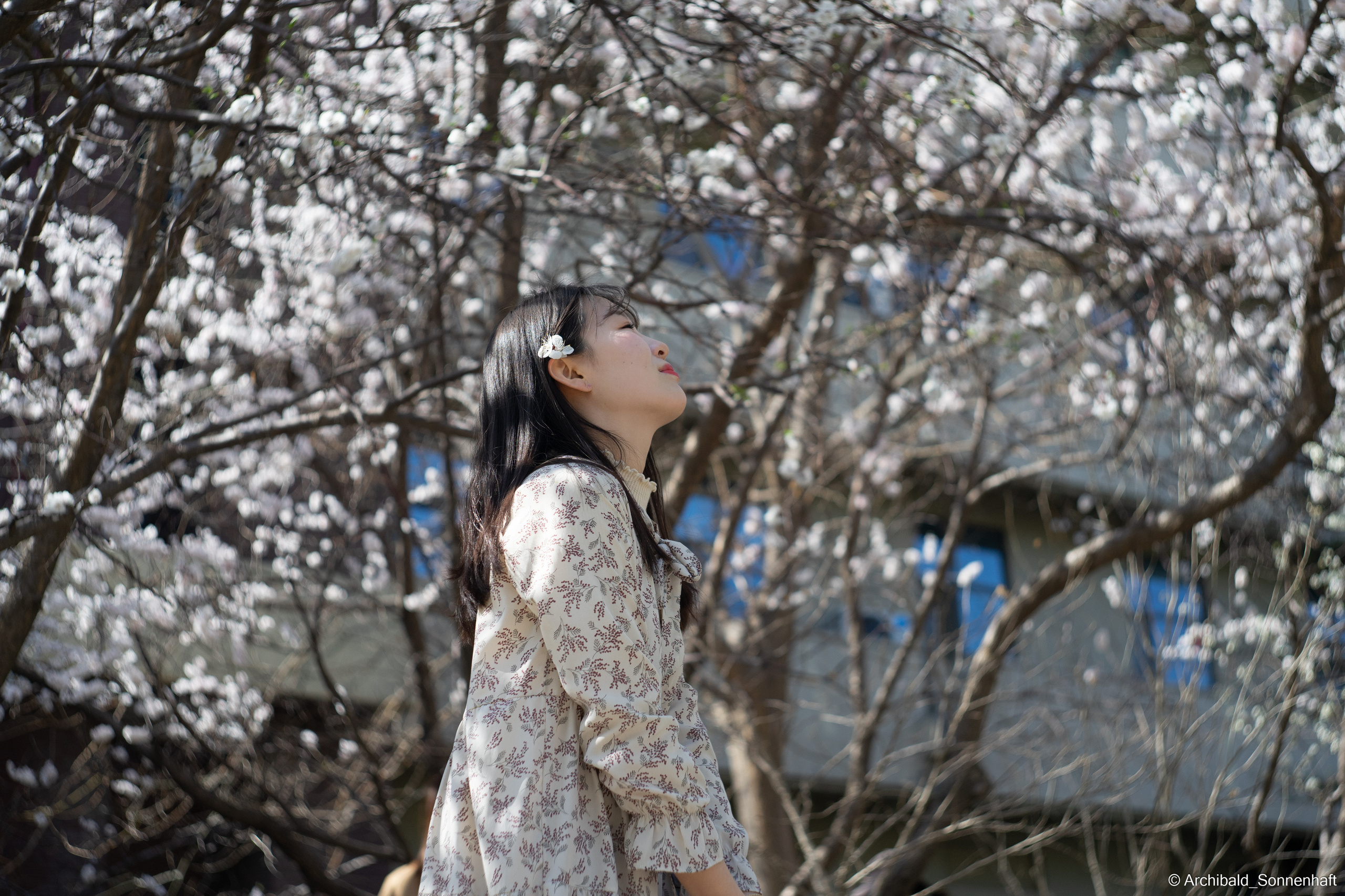 장유진 [jiang yu jin] — Korean student of the School of International Edu. Photographer in Guangzhou, China. Archibald Sonnenhaft