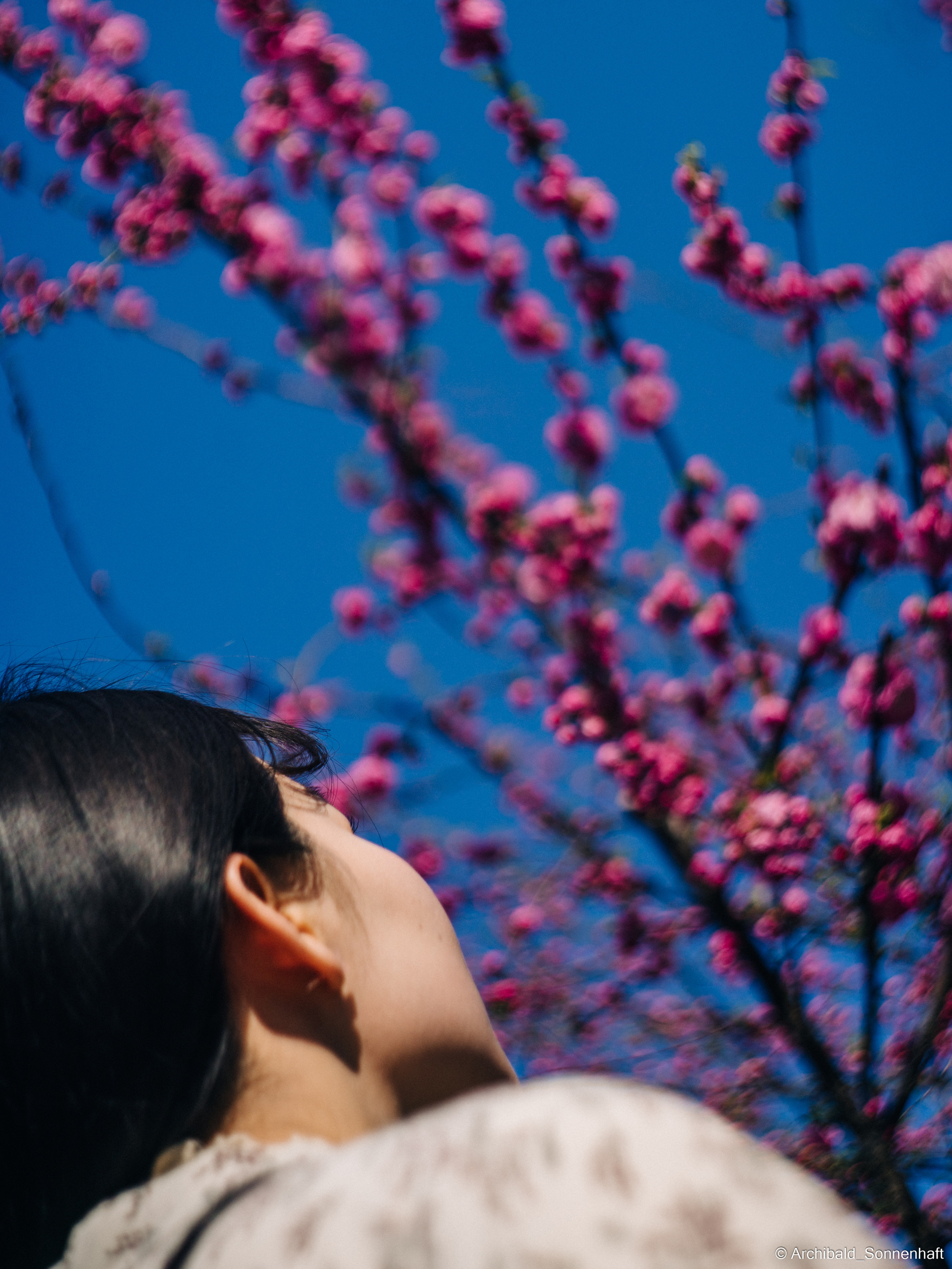 장유진 [jiang yu jin] — Korean student of the School of International Edu. Photographer in Guangzhou, China. Archibald Sonnenhaft