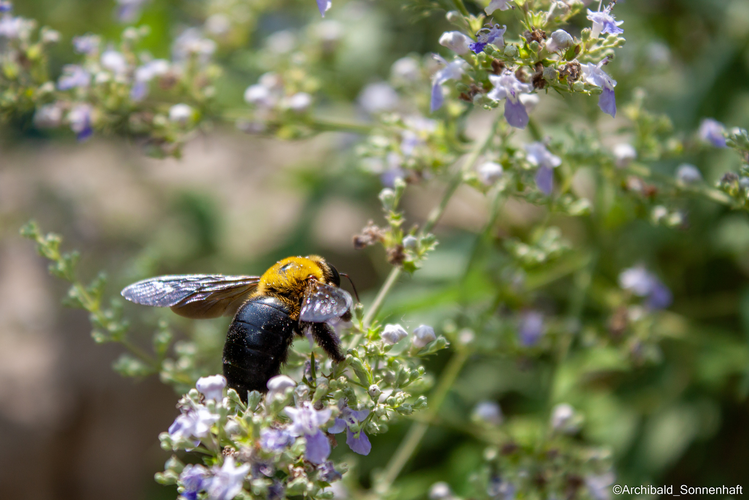 Tennis morning. Photographer in Guangzhou, China. Archibald Sonnenhaft
