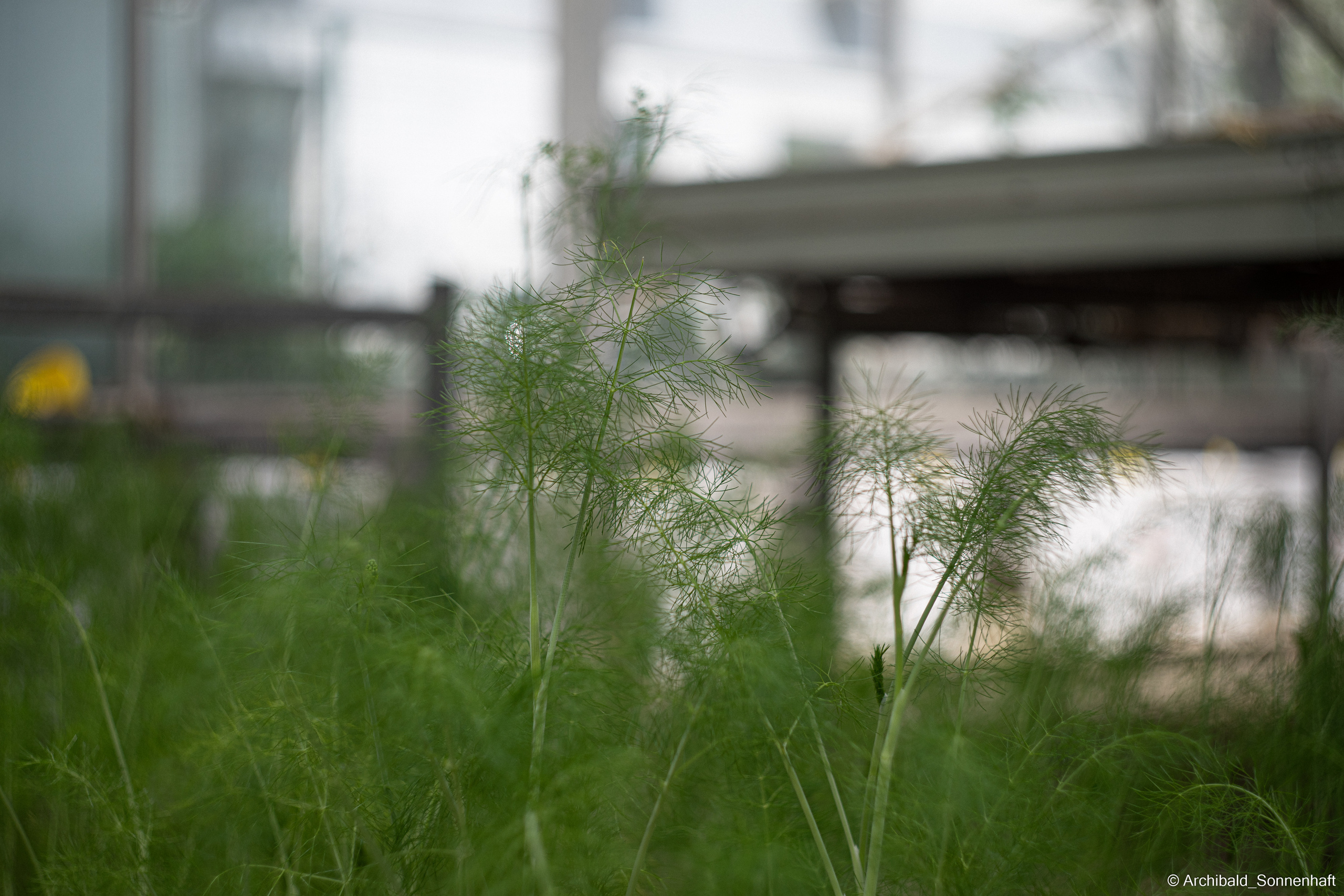 An unexpected walk around the university with my wife and argentine st. Photographer in Guangzhou, China. Archibald Sonnenhaft