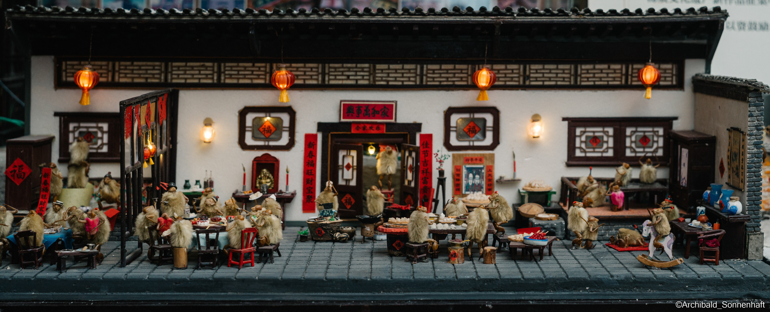 Tianjin specialty “hairy monkey”. Photographer in Guangzhou, China. Archibald Sonnenhaft